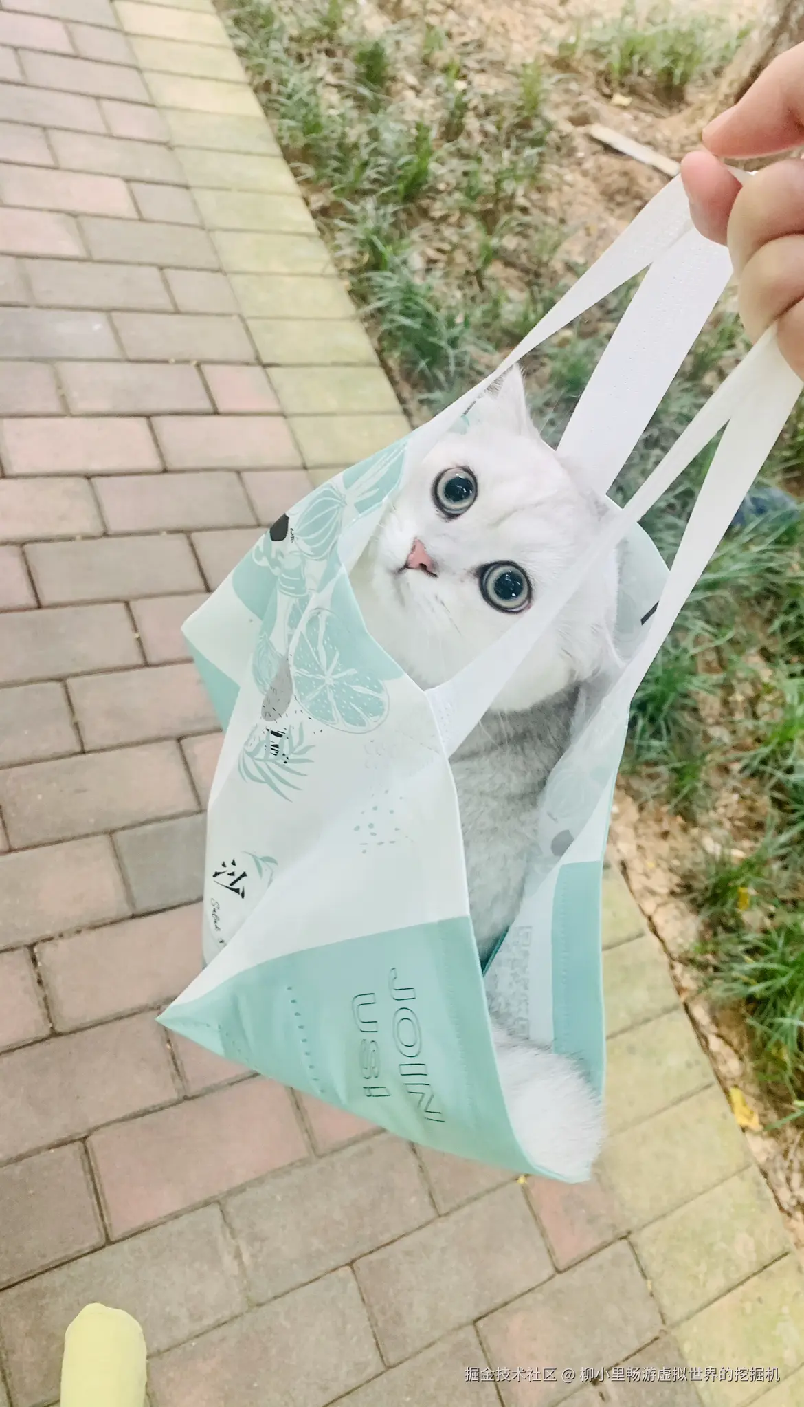 柳小里畅游虚拟世界的挖掘机于2025-11-18 16:34发布的图片