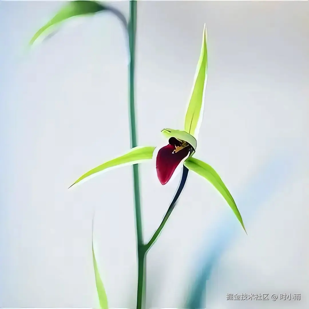 时小雨于2025-06-02 13:29发布的图片