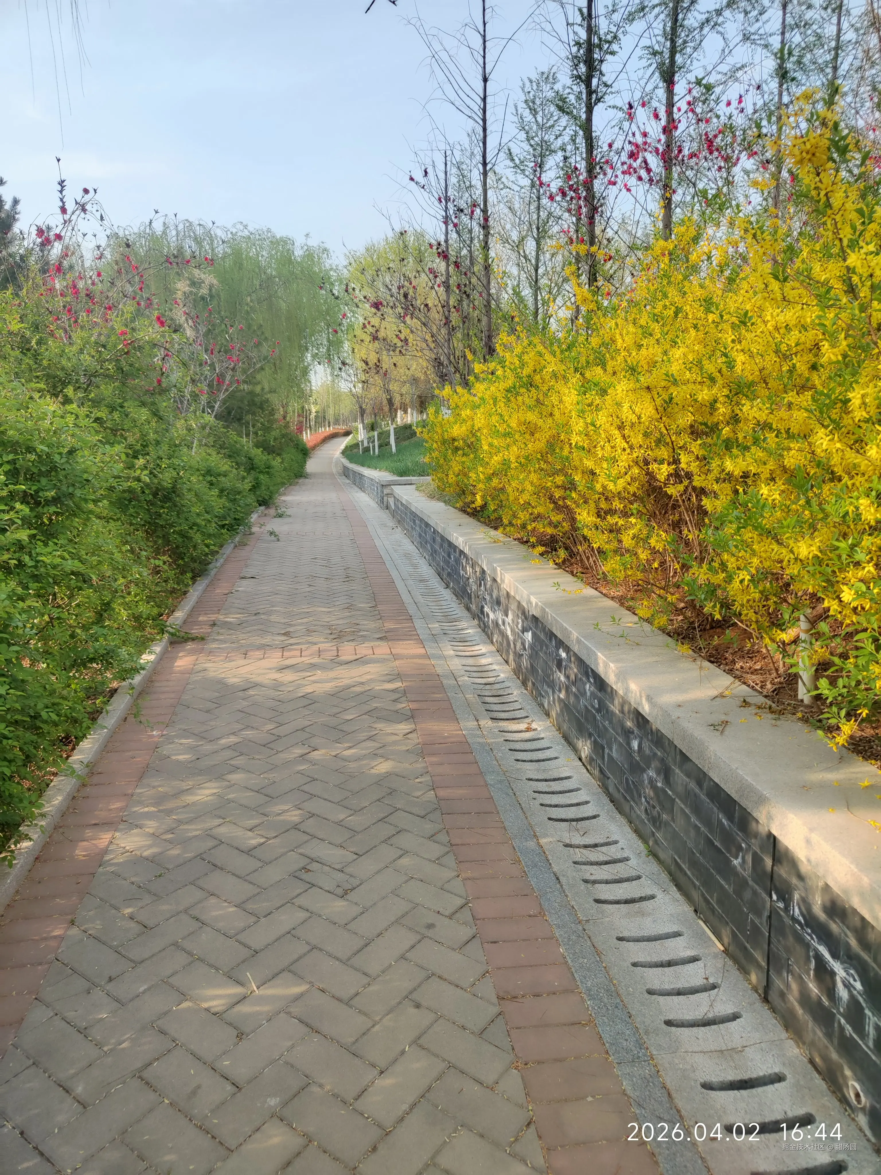 甜汤圆于2026-04-02 16:47发布的图片