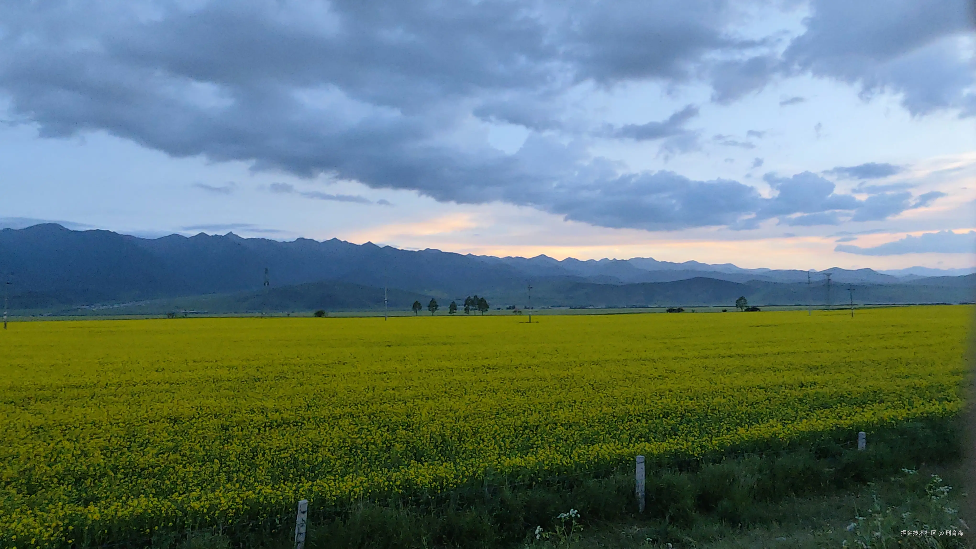 刑育森于2025-07-14 08:52发布的图片