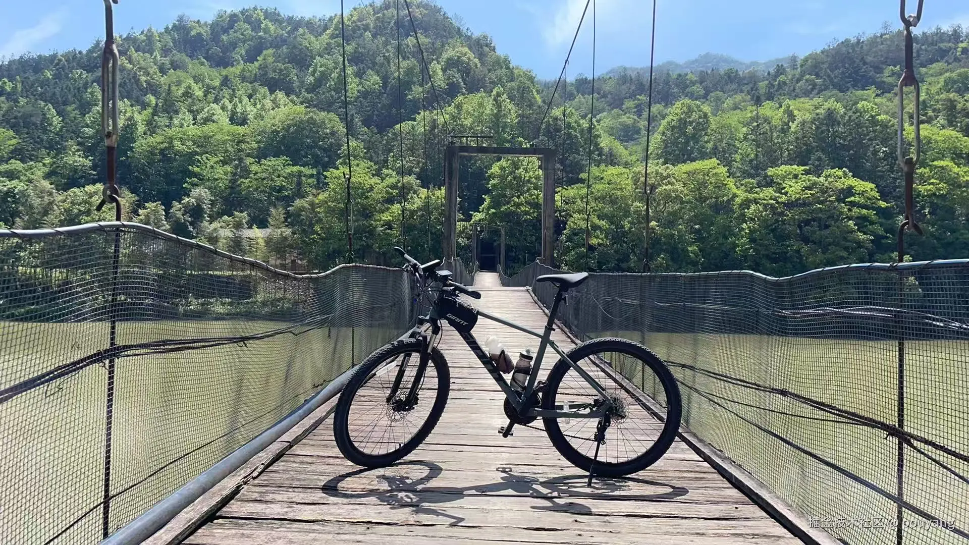 oouyang于2025-05-06 16:00发布的图片