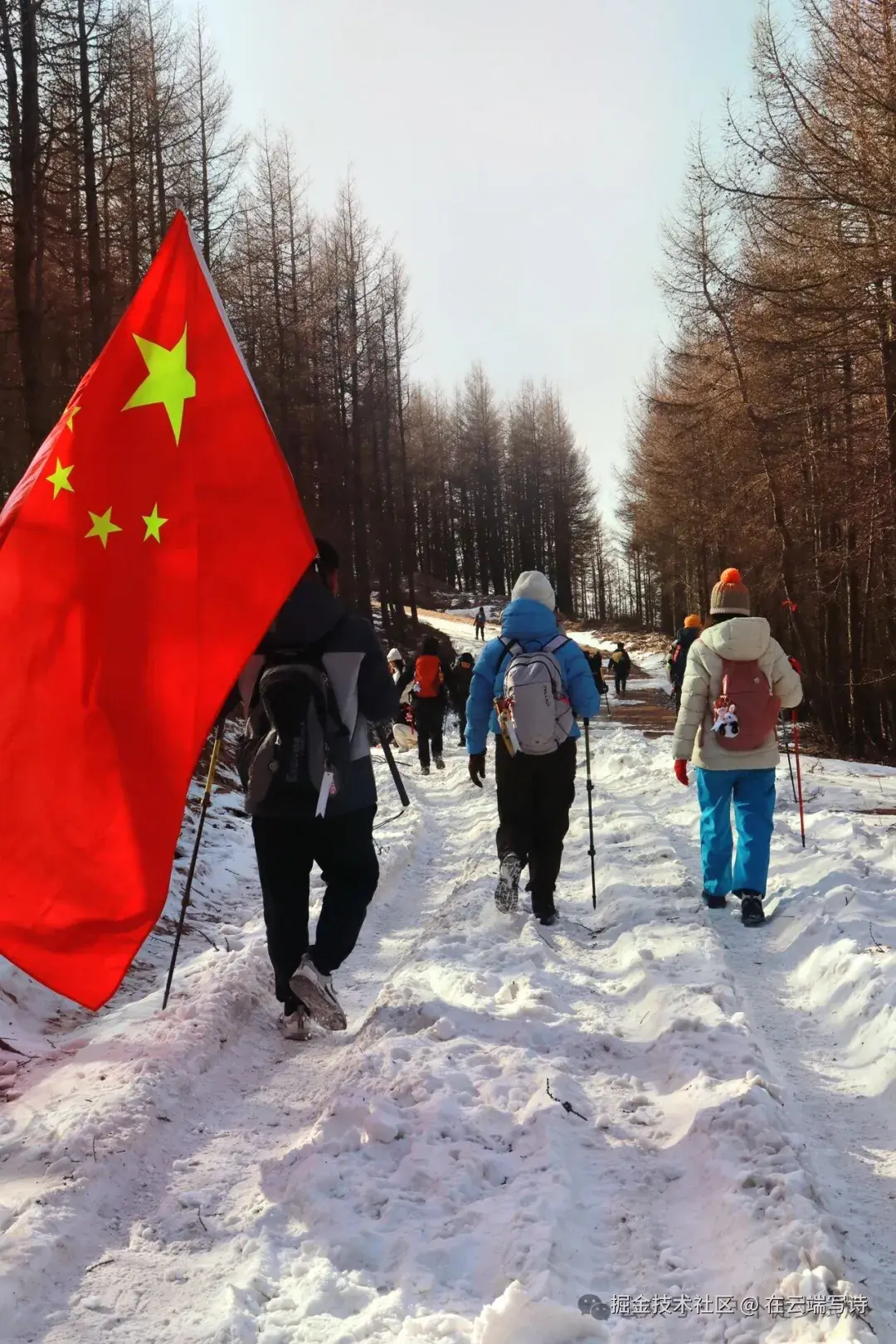 在云端写诗于2025-12-01 11:16发布的图片