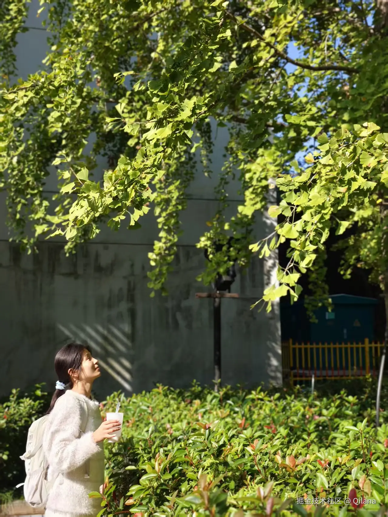 Qilana于2025-11-10 00:58发布的图片