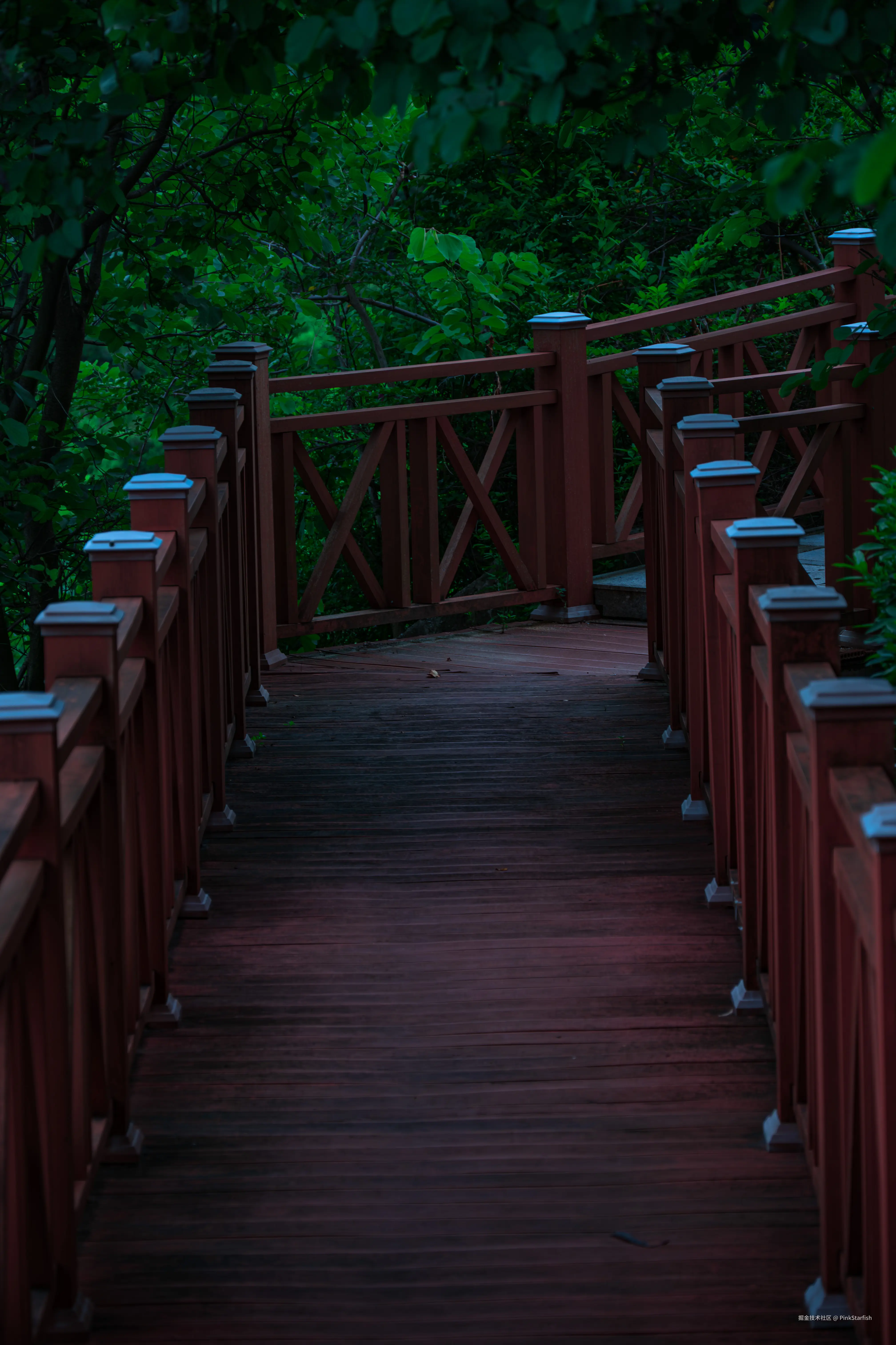 PinkStarfish于2025-07-28 15:35发布的图片