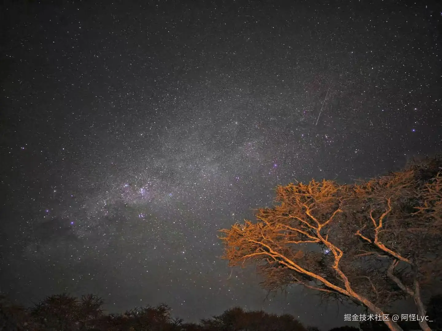 阿怪Lyc_于2025-05-20 09:45发布的图片