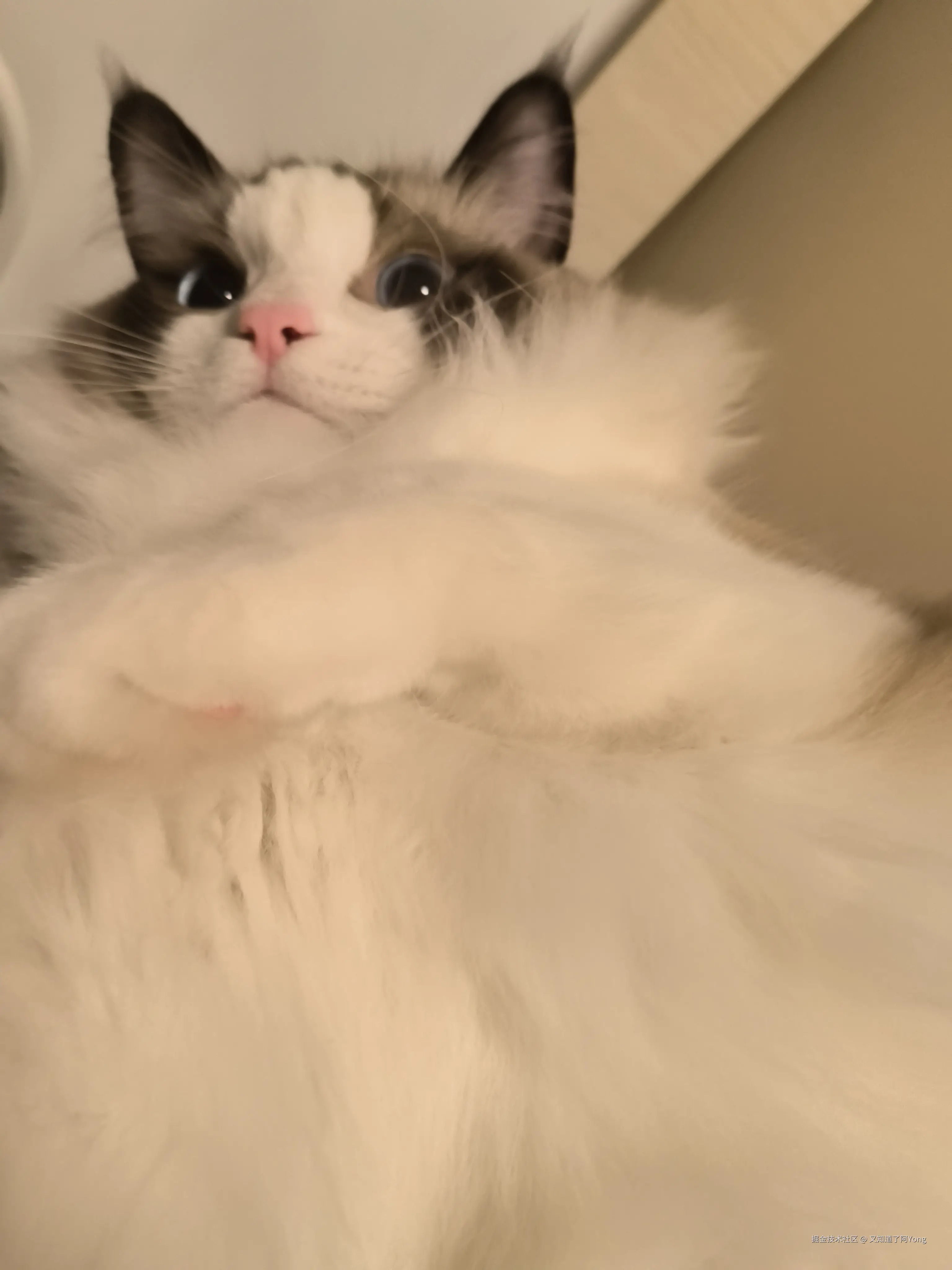 又知道了阿Yong于2025-03-01 16:46发布的图片