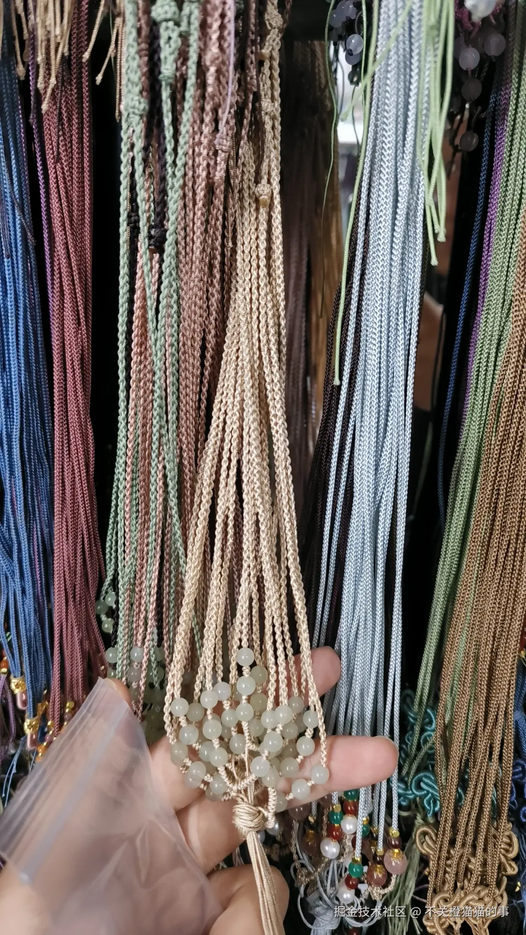 不关橙猫猫的事于2025-10-11 15:29发布的图片