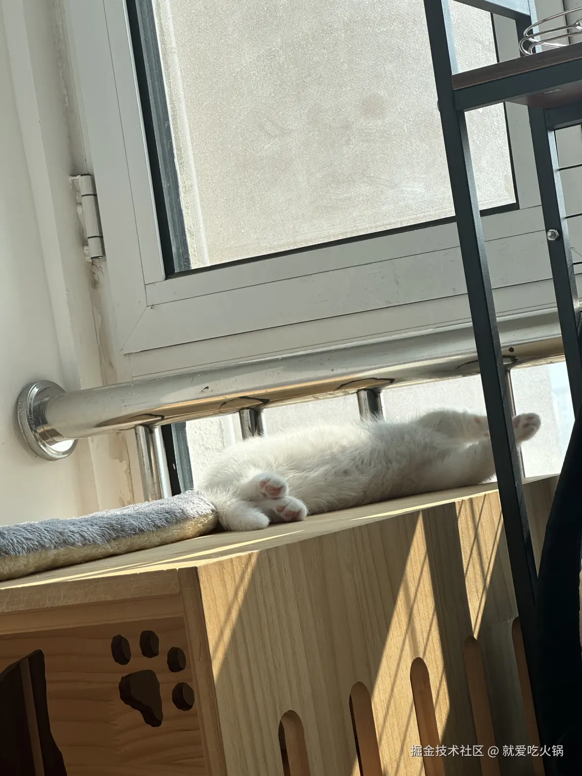 就爱吃火锅于2025-03-10 09:39发布的图片