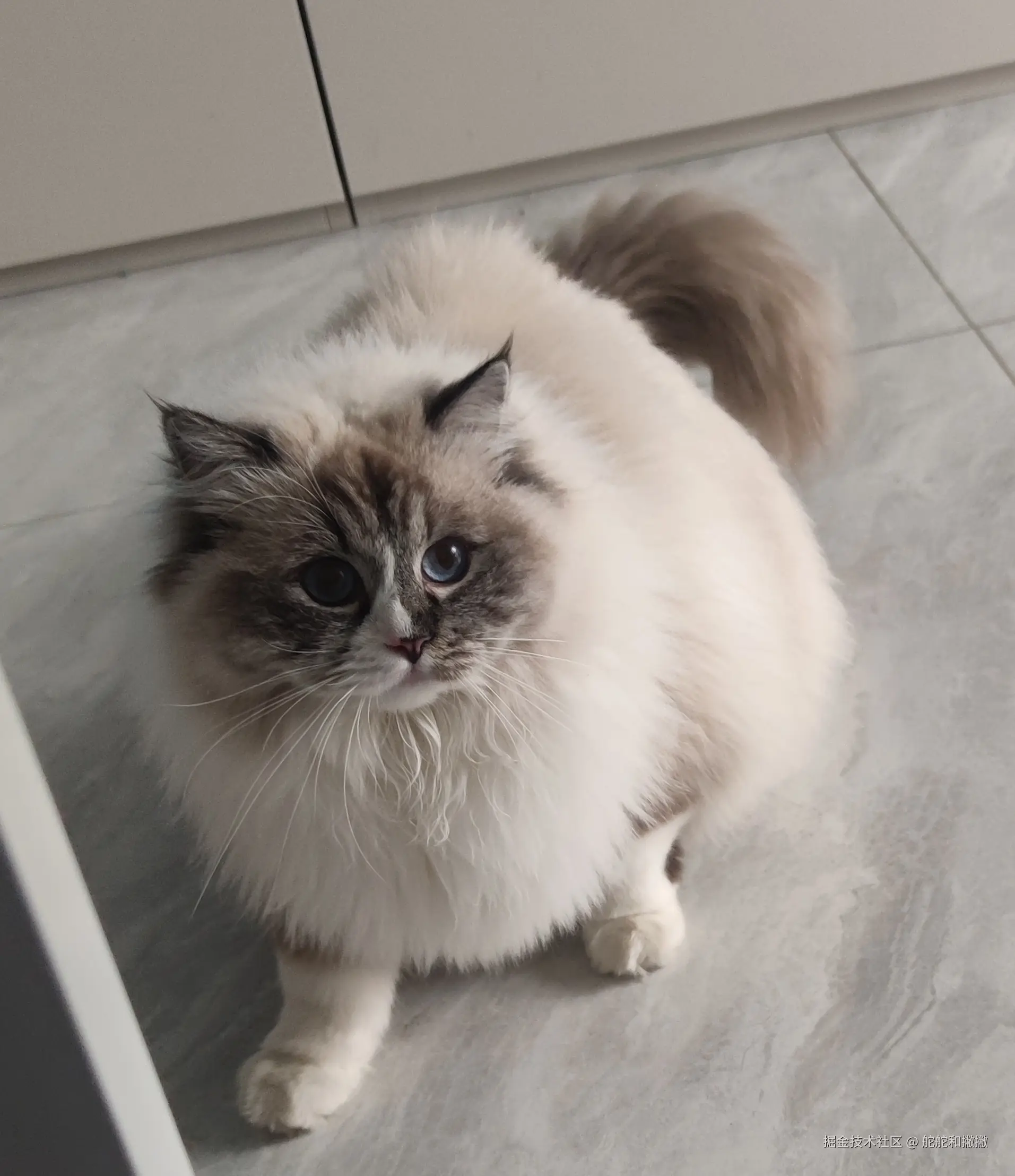 舵舵和撇撇于2026-03-10 10:26发布的图片