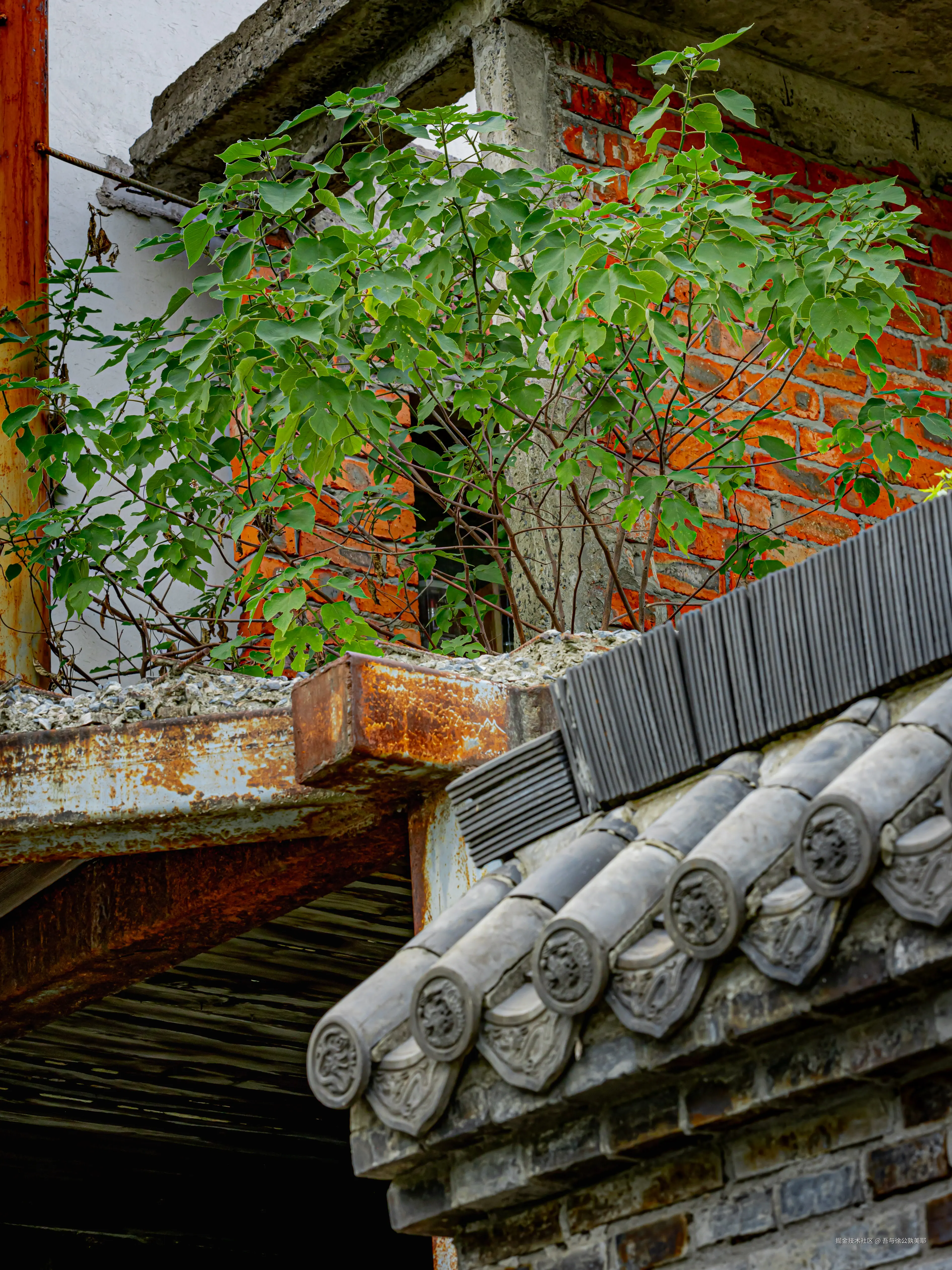 吾与徐公孰美耶于2024-09-06 15:01发布的图片