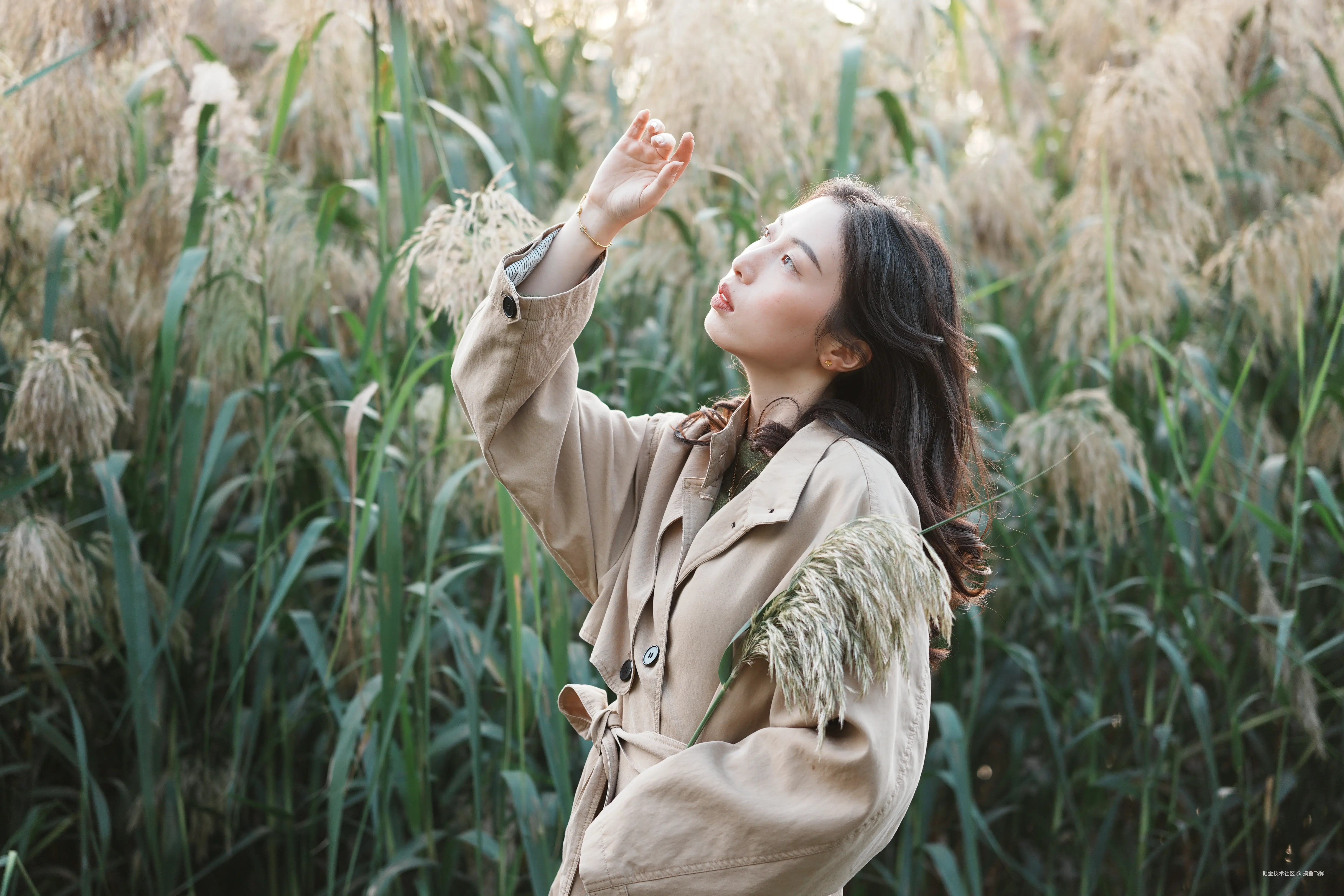 摸鱼飞弹于2025-10-27 12:08发布的图片