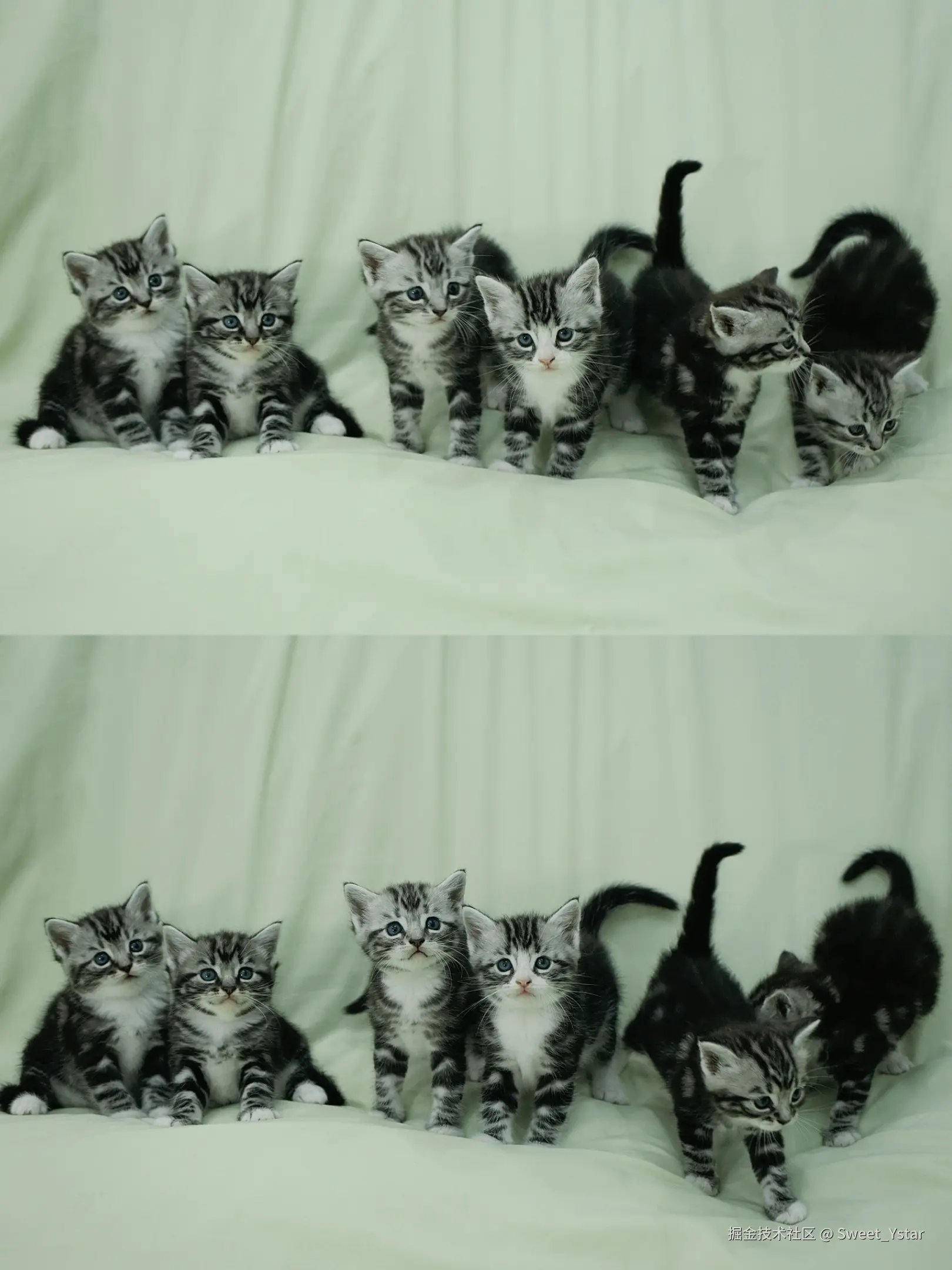 Sweet_Ystar于2026-02-13 15:57发布的图片