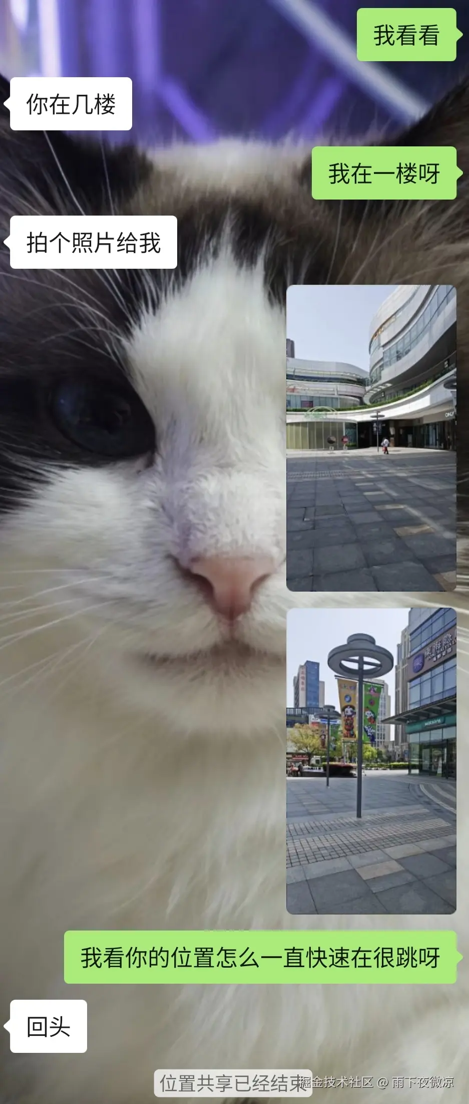 雨下夜微凉于2026-04-07 10:08发布的图片