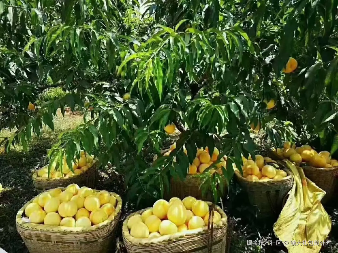 领大礼包倒计时于2025-09-28 14:50发布的图片