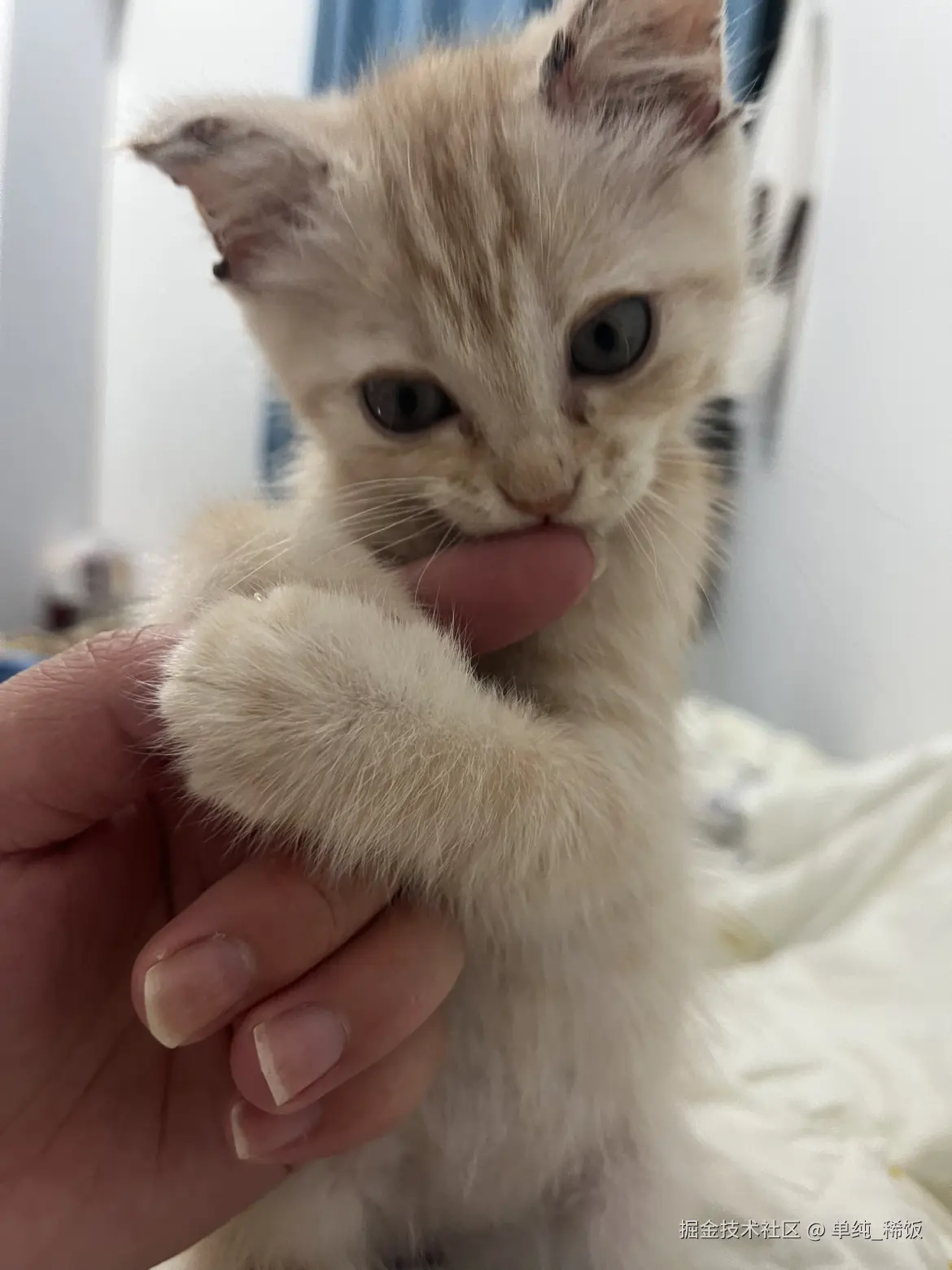 单纯_稀饭于2025-03-13 11:26发布的图片