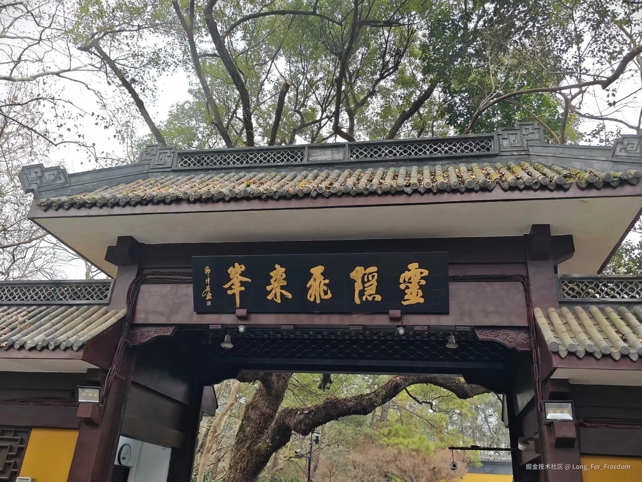 Long_For_Freedom于2026-01-19 10:22发布的图片