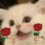 十寸阴雨晴于2026-02-25 09:22发布的图片