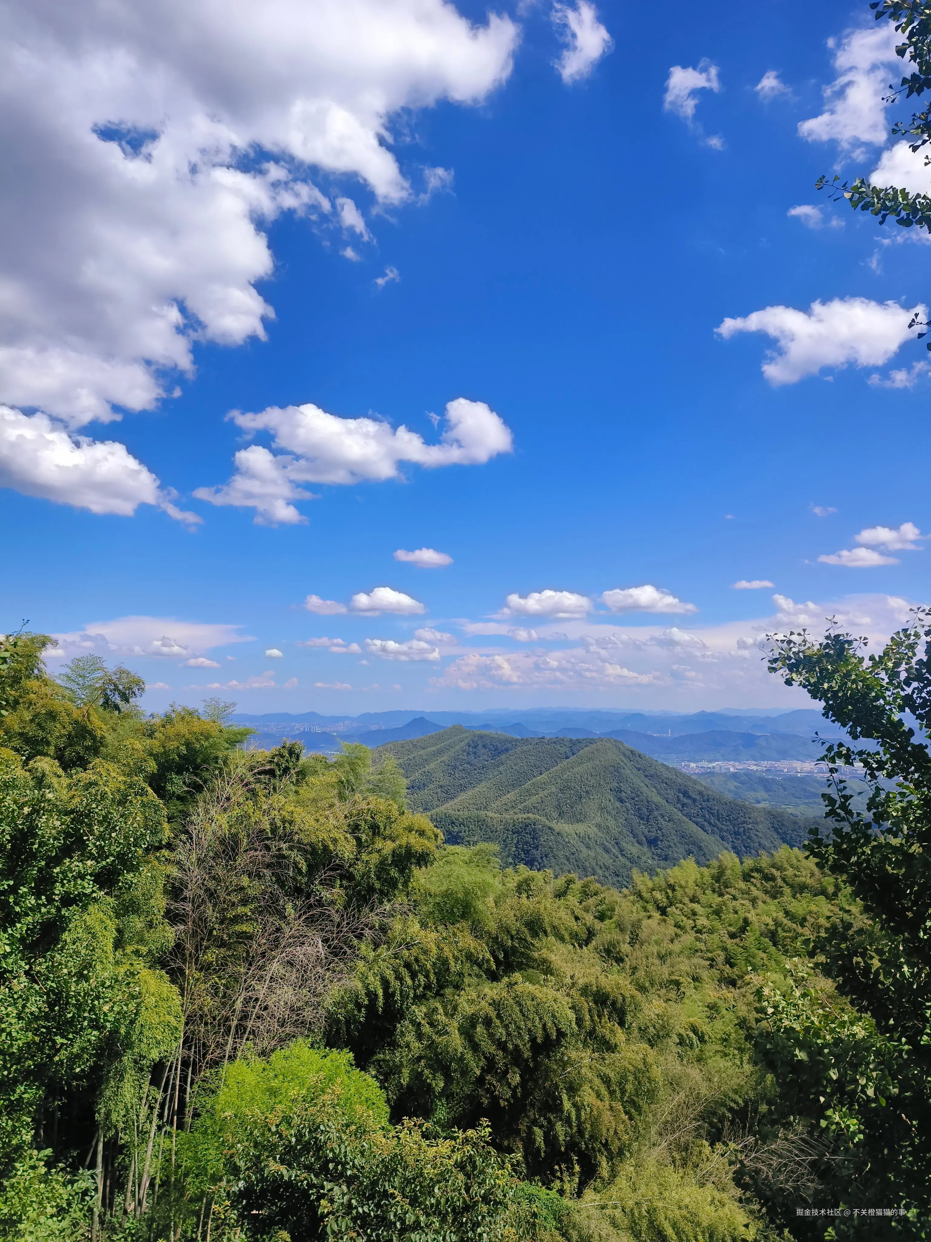 不关橙猫猫的事于2025-08-25 15:39发布的图片