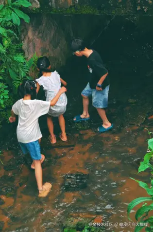 神秘闪亮大蝴蝶于2026-06-23 02:22发布的图片