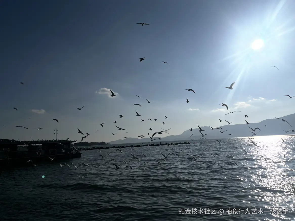 抽象行为艺术一级选手于2025-12-15 10:57发布的图片