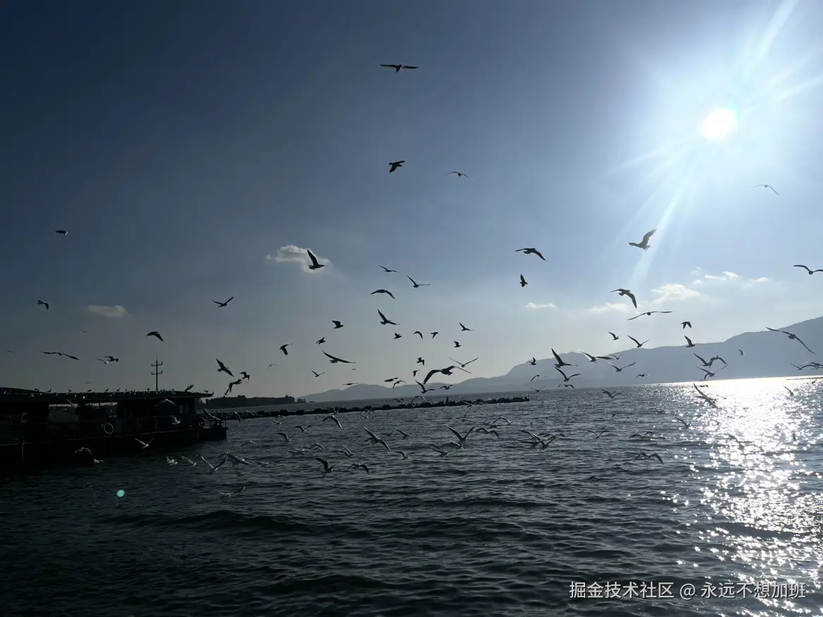 永远不想加班于2025-12-15 10:57发布的图片