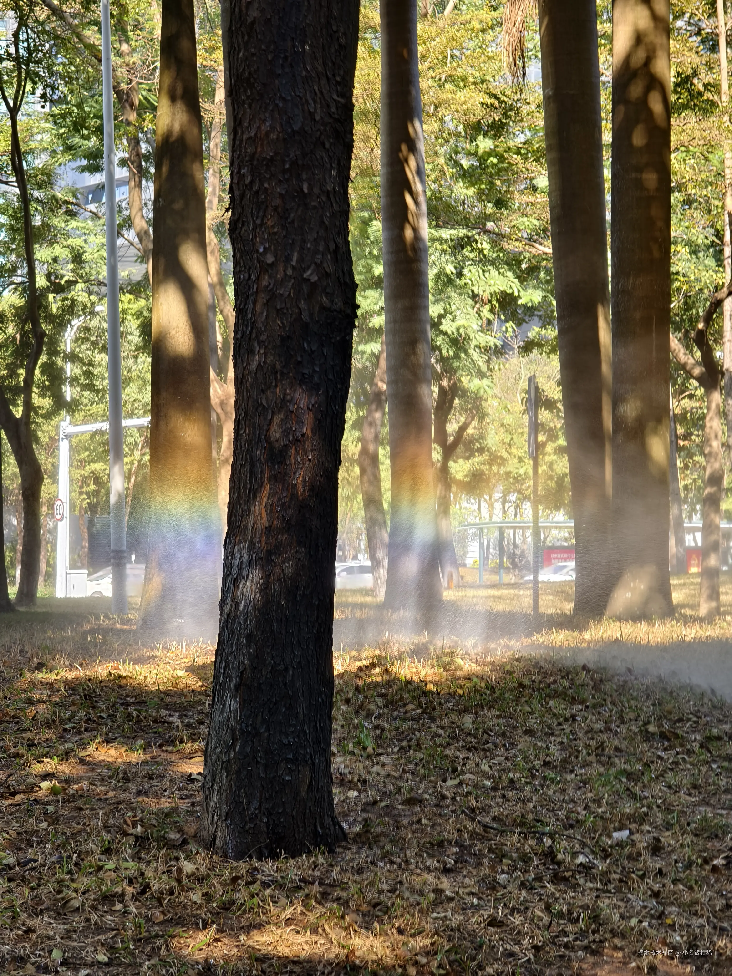小名饭特稀于2025-01-20 14:49发布的图片