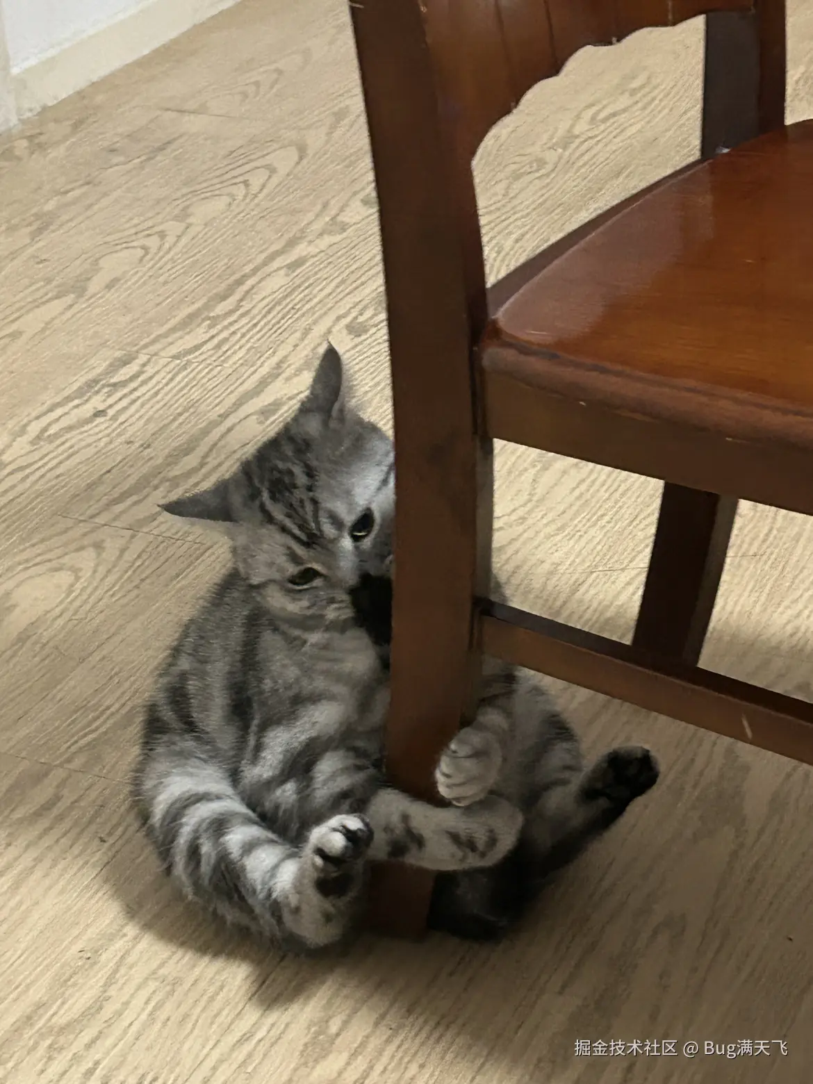 Bug满天飞于2024-09-21 08:05发布的图片