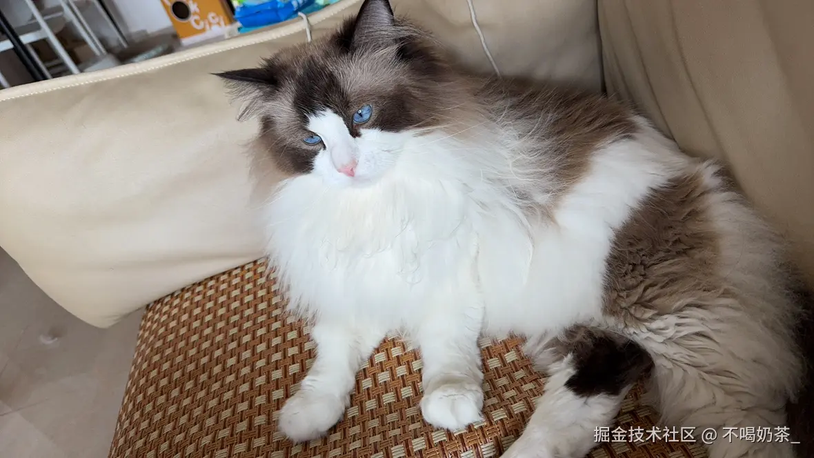 不喝奶茶_于2025-07-14 14:13发布的图片