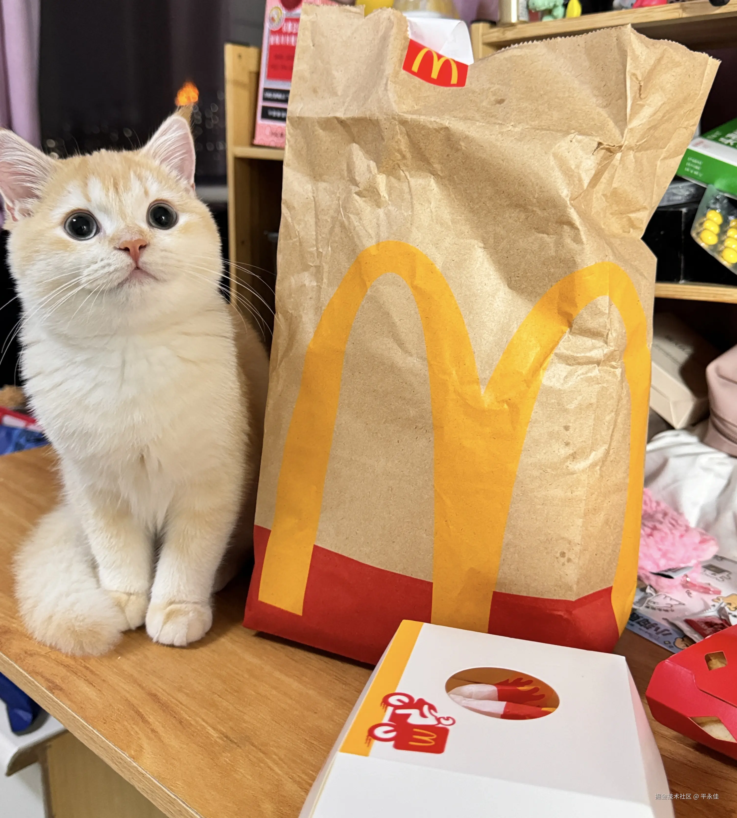 平永佳于2024-11-27 17:31发布的图片