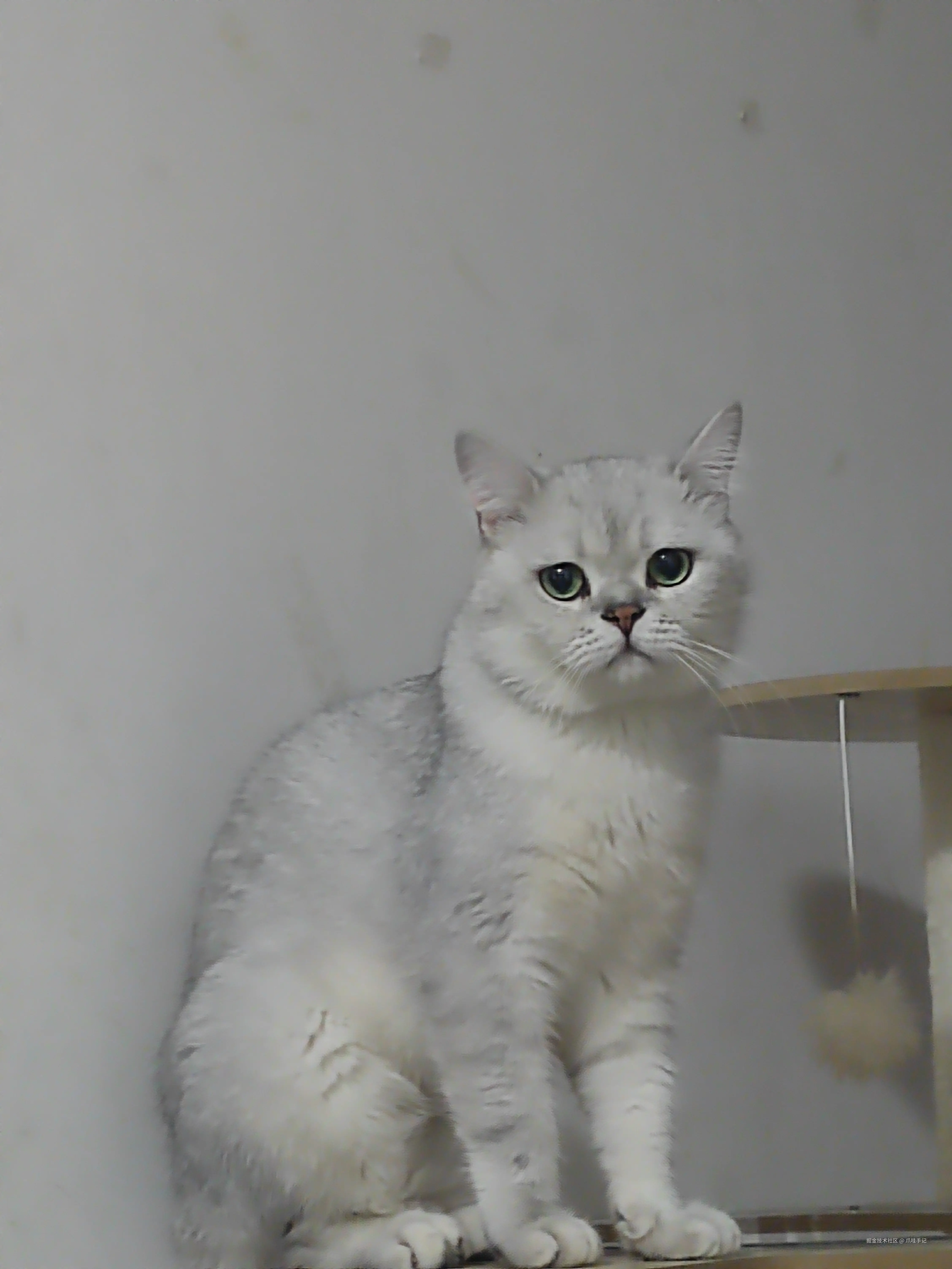 爪哇手记于2024-09-23 10:29发布的图片