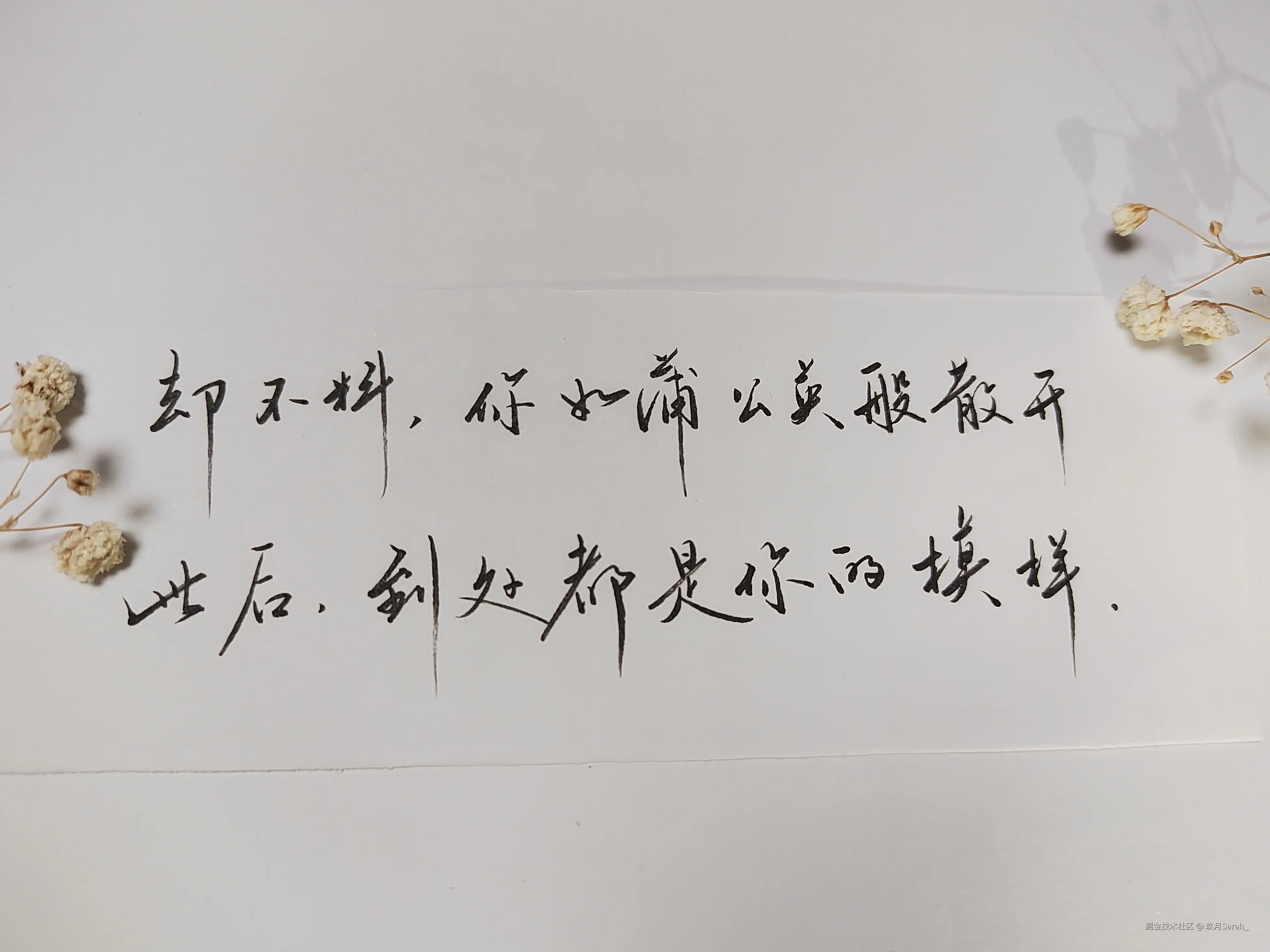 玖月Sarah_于2024-10-30 05:56发布的图片