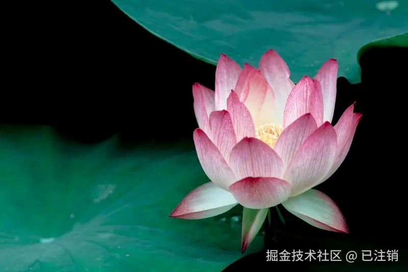 已注销于2025-07-07 12:07发布的图片