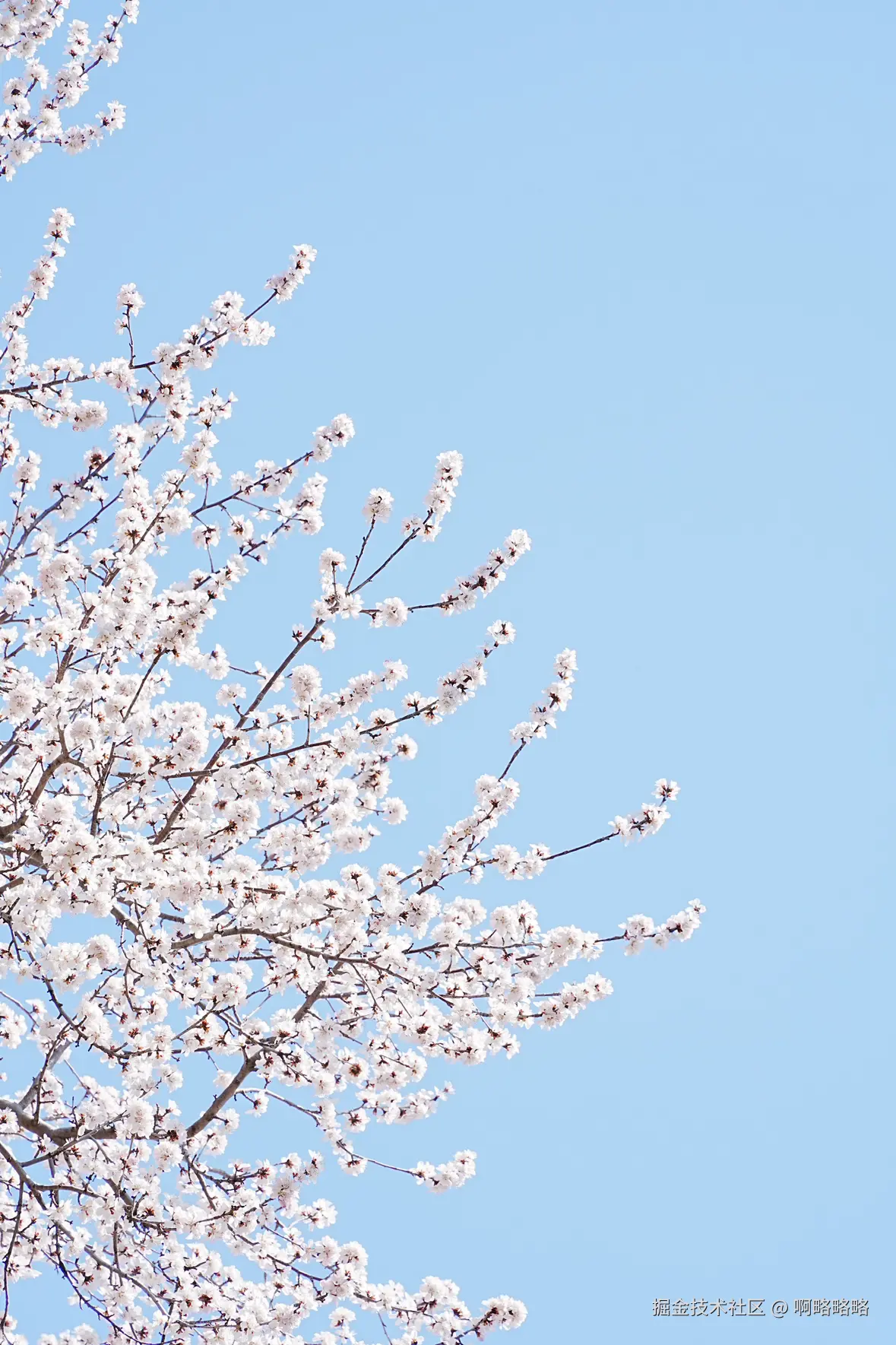 啊略略略于2025-03-17 10:14发布的图片