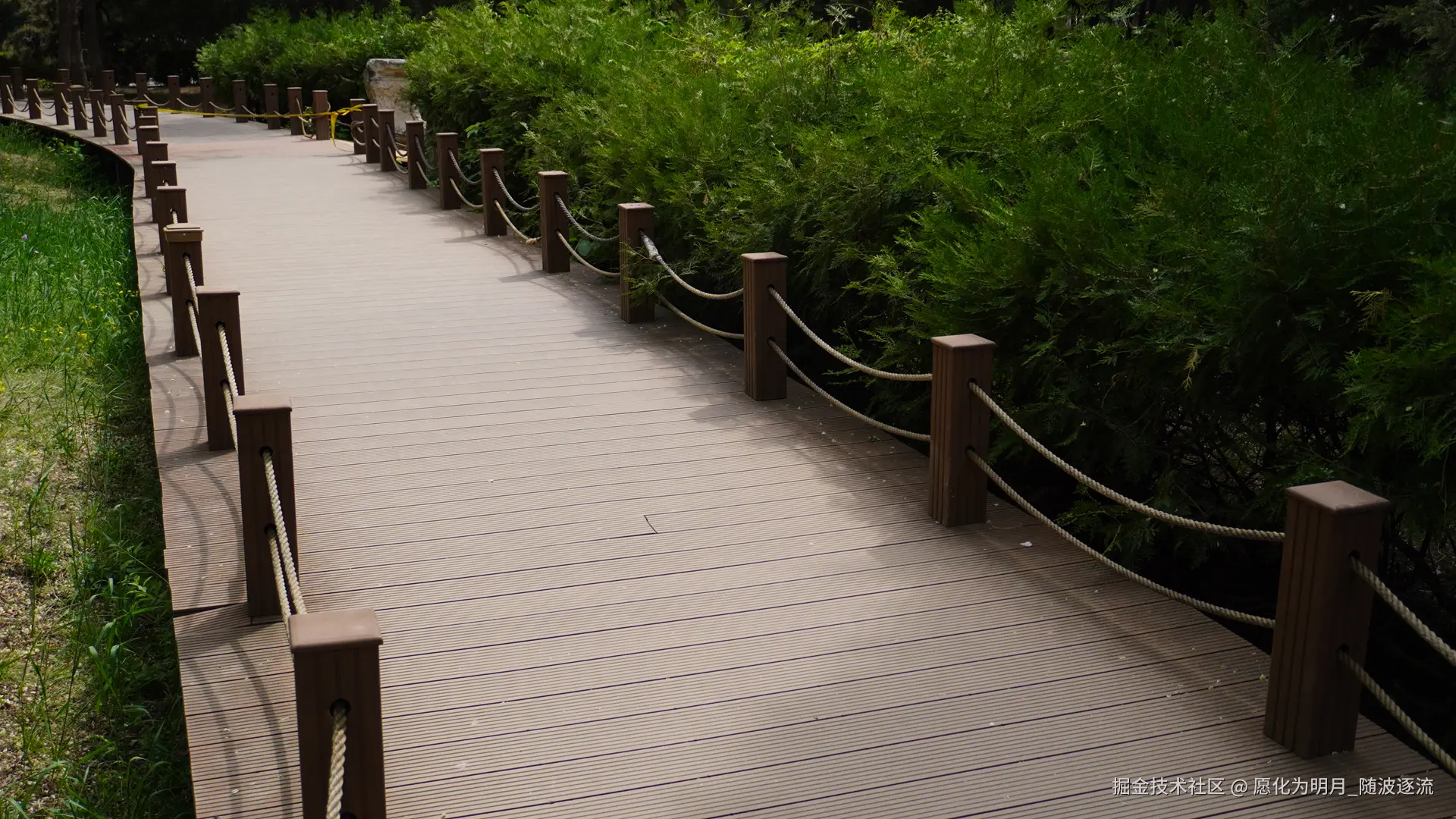 愿化为明月_随波逐流于2025-07-01 09:23发布的图片