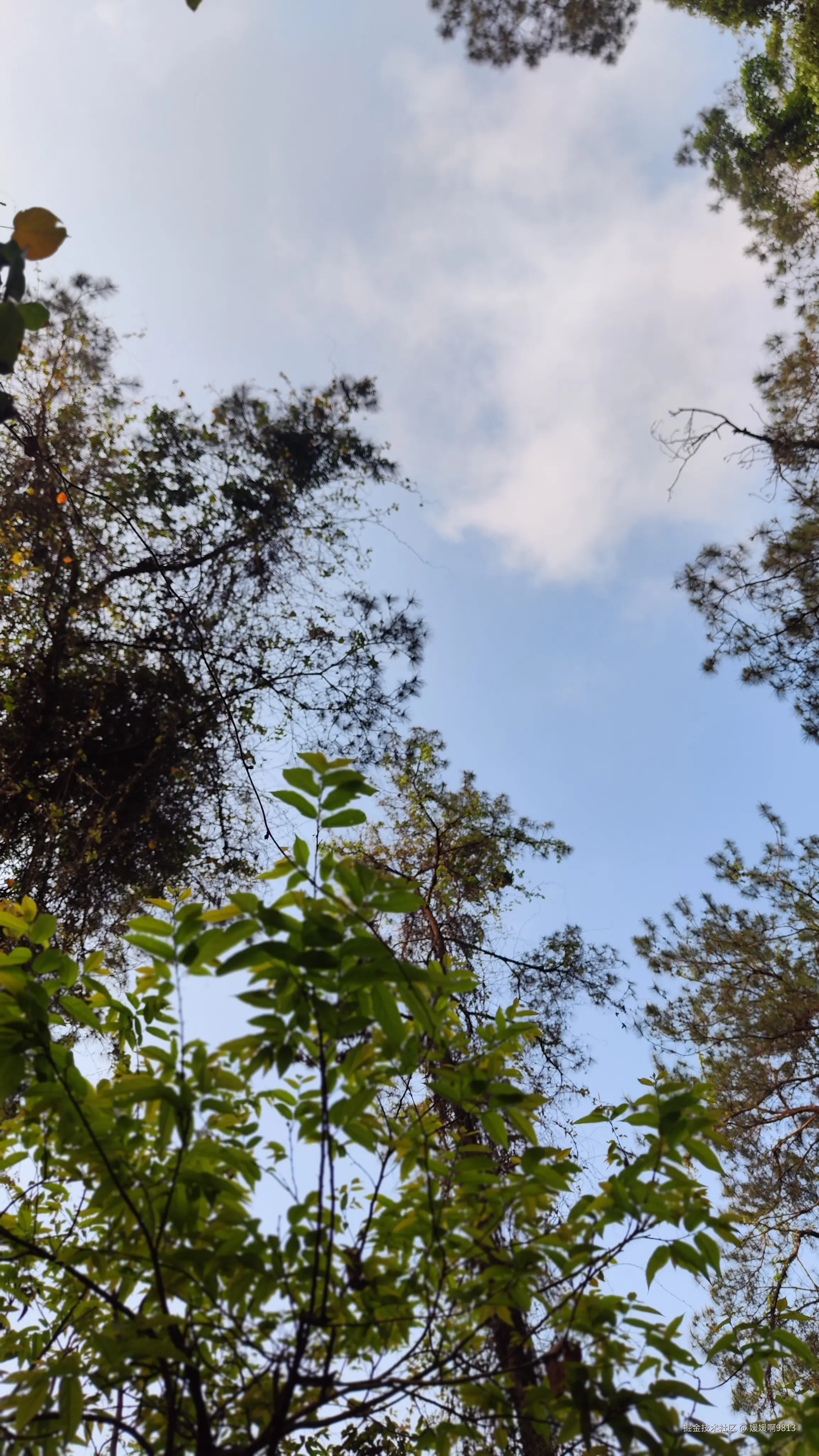 媛媛啊9813于2025-05-08 06:30发布的图片