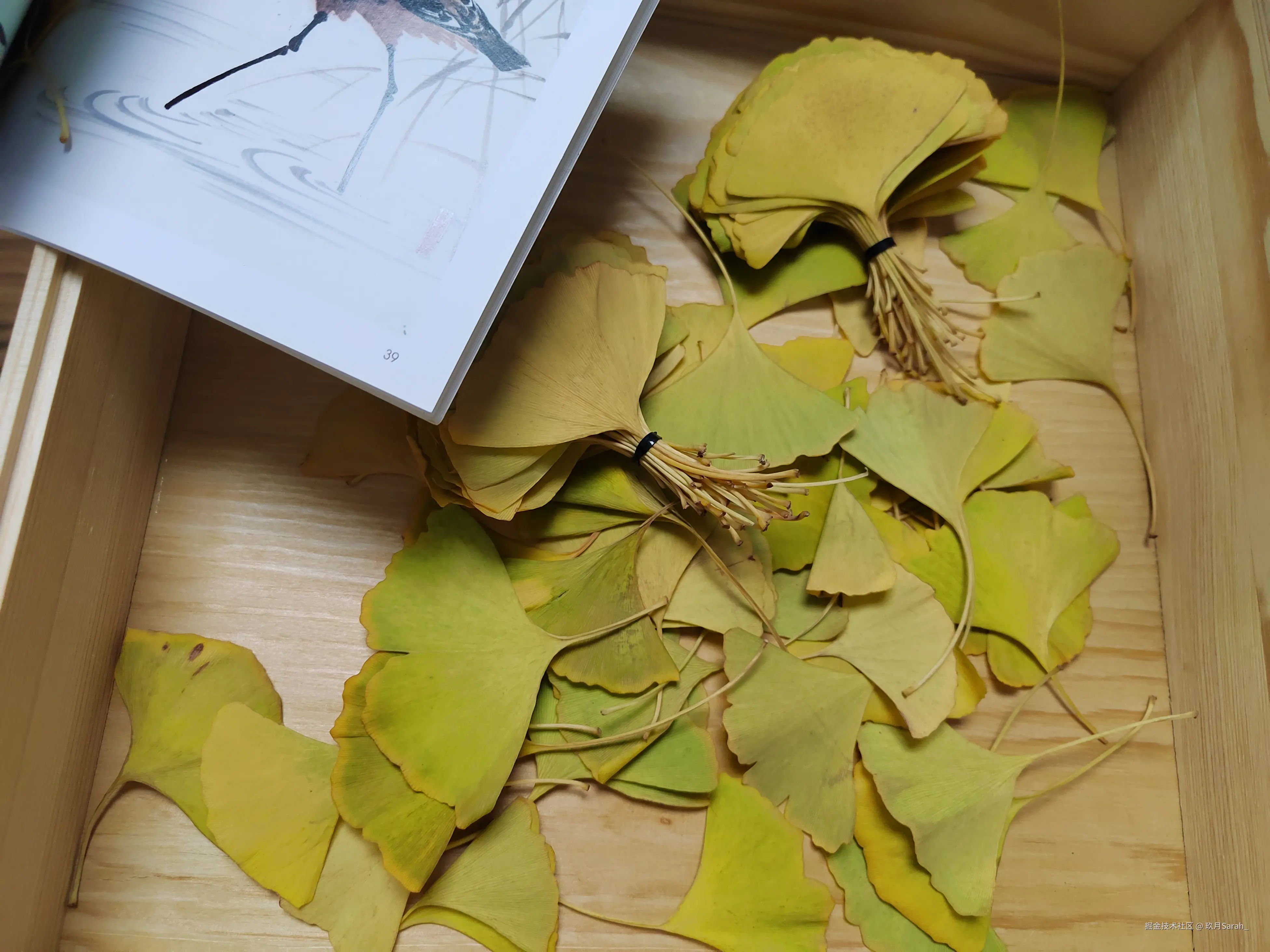 玖月Sarah_于2024-10-30 05:56发布的图片
