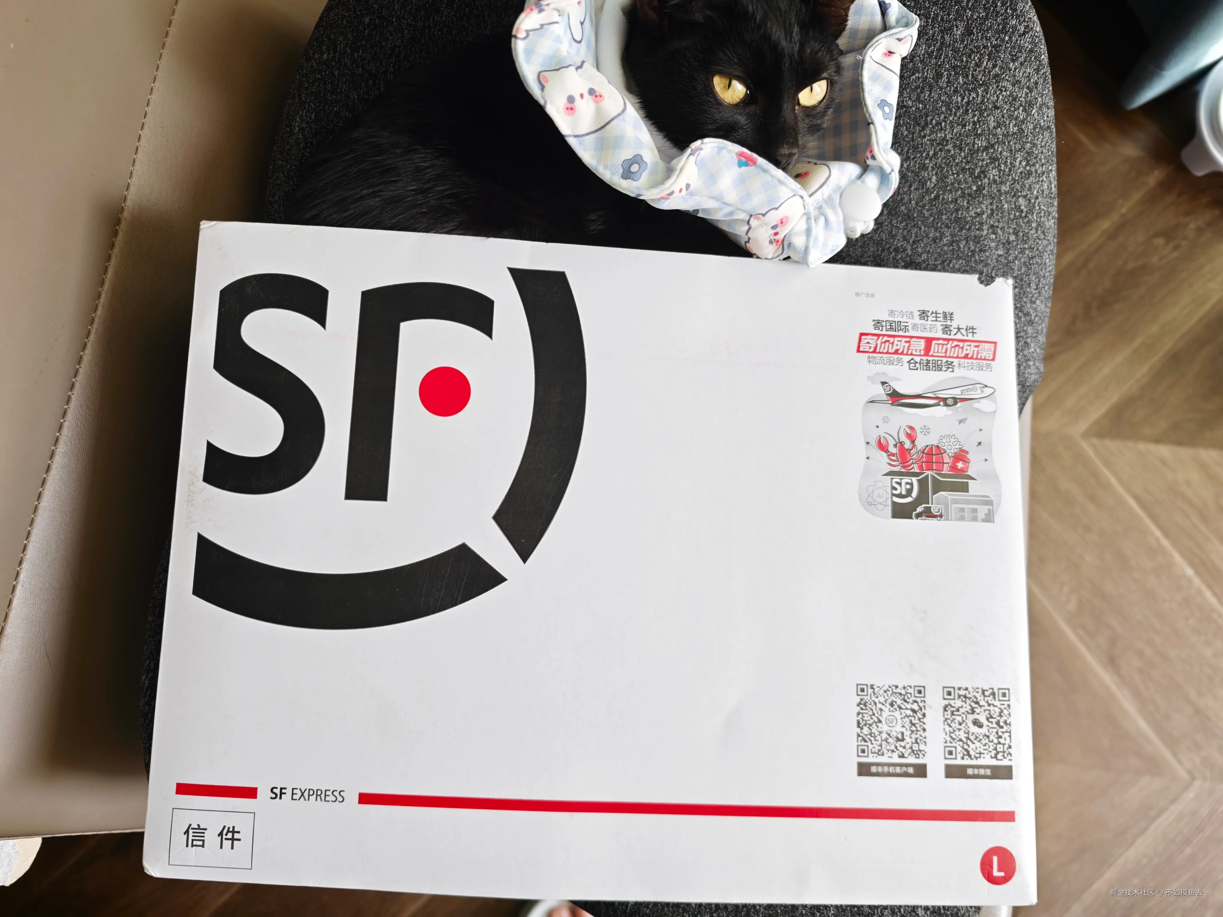 不如摸鱼去于2026-01-07 14:12发布的图片