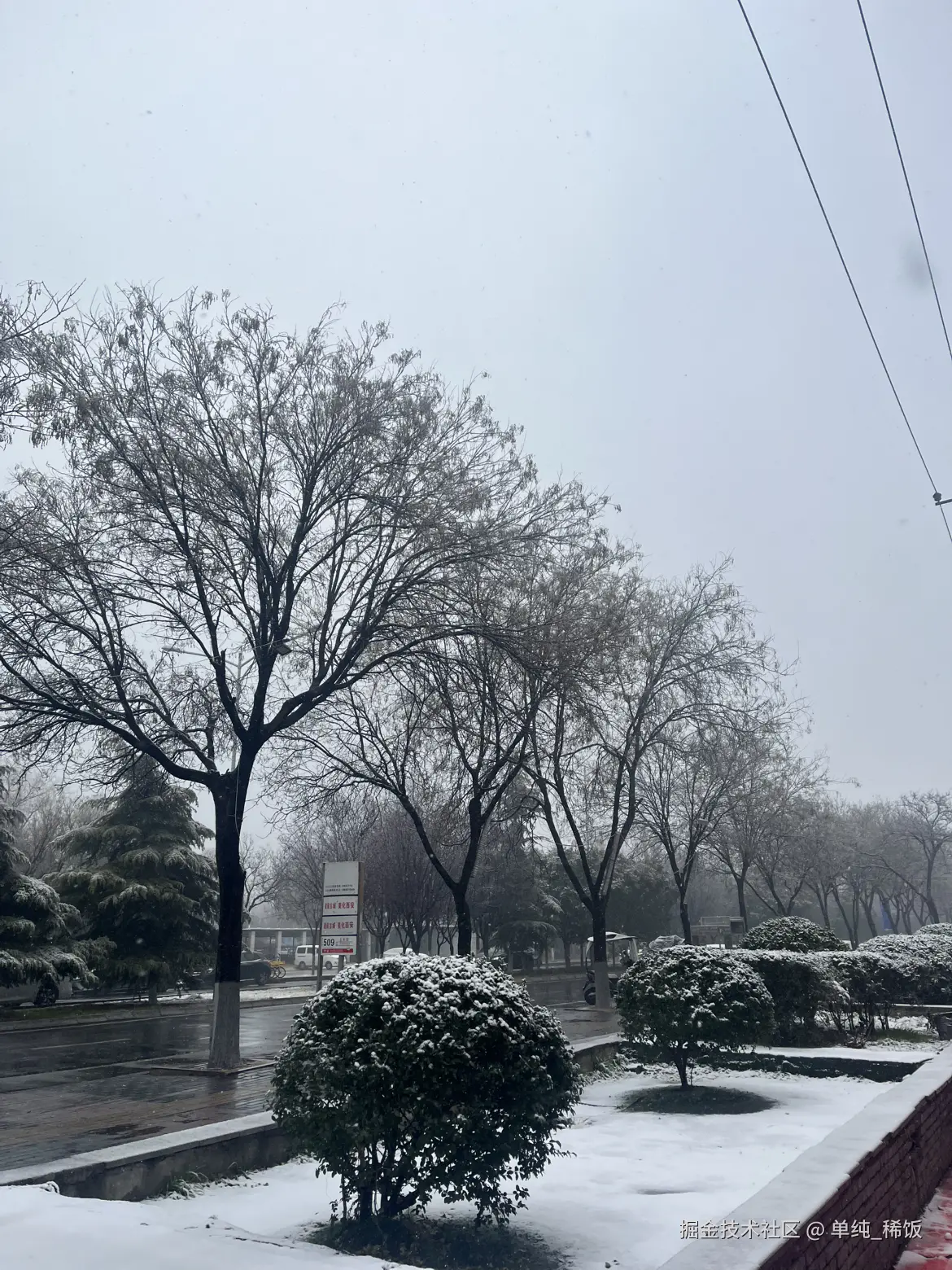 单纯_稀饭于2025-12-31 12:12发布的图片