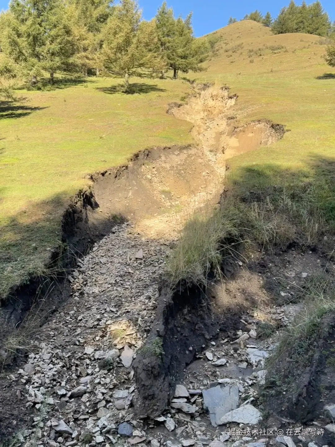 在云端写诗于2025-09-22 15:08发布的图片
