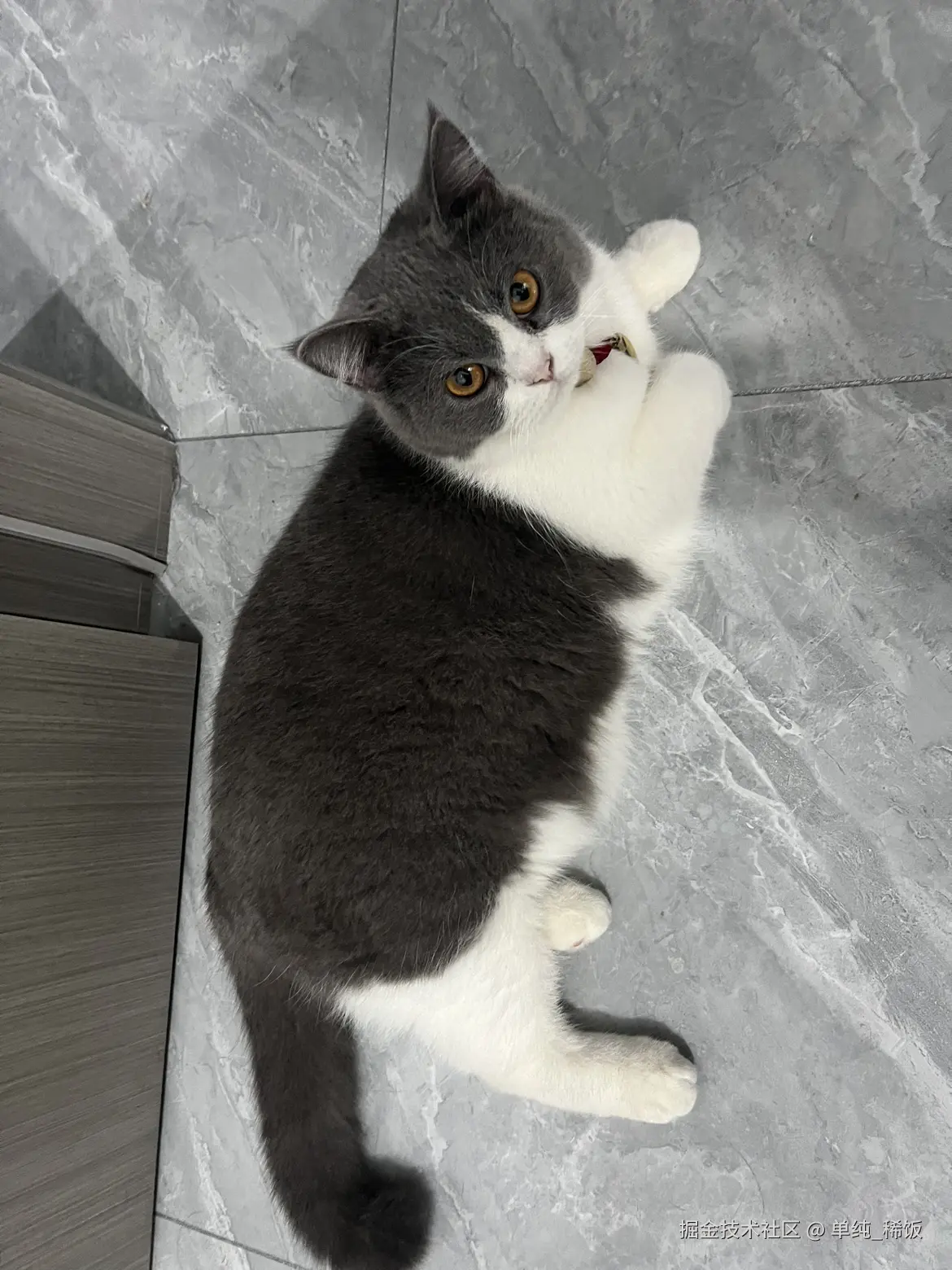 单纯_稀饭于2024-08-19 08:10发布的图片