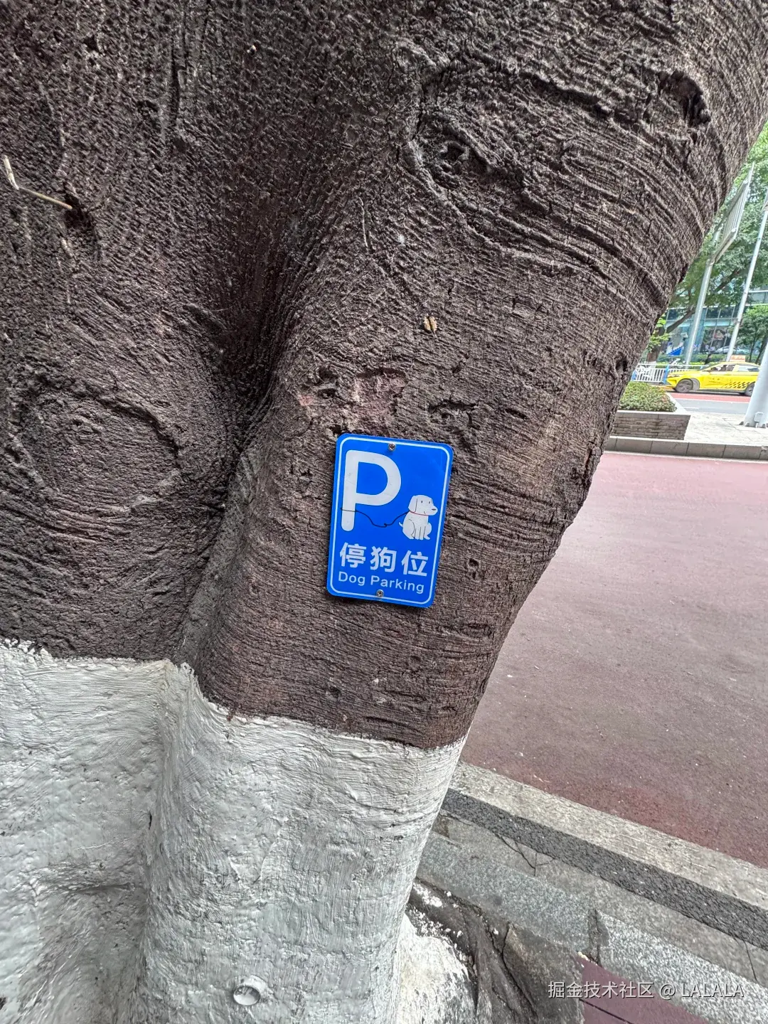 LALALA于2026-04-05 16:23发布的图片