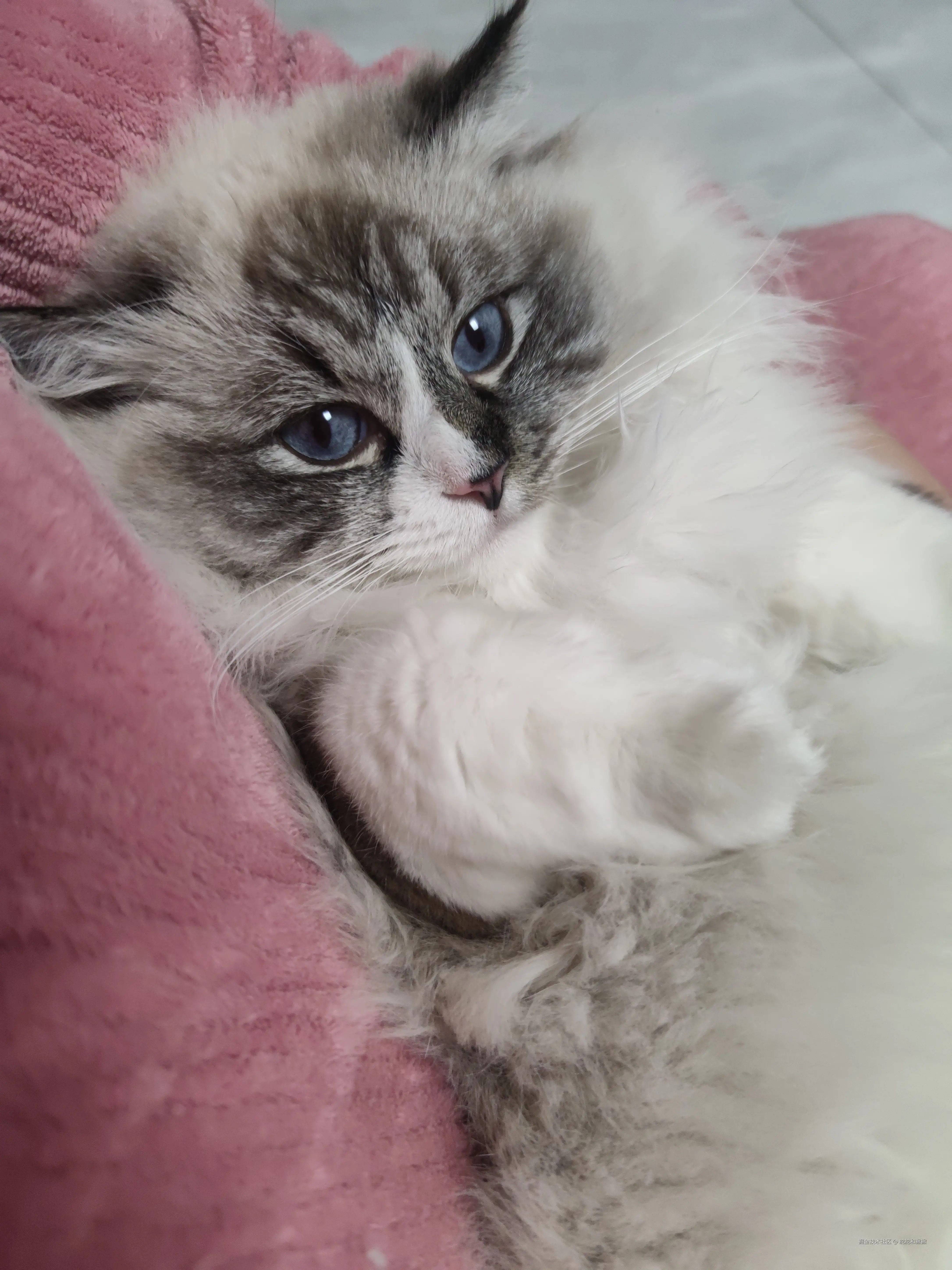 舵舵和撇撇于2026-03-10 10:26发布的图片