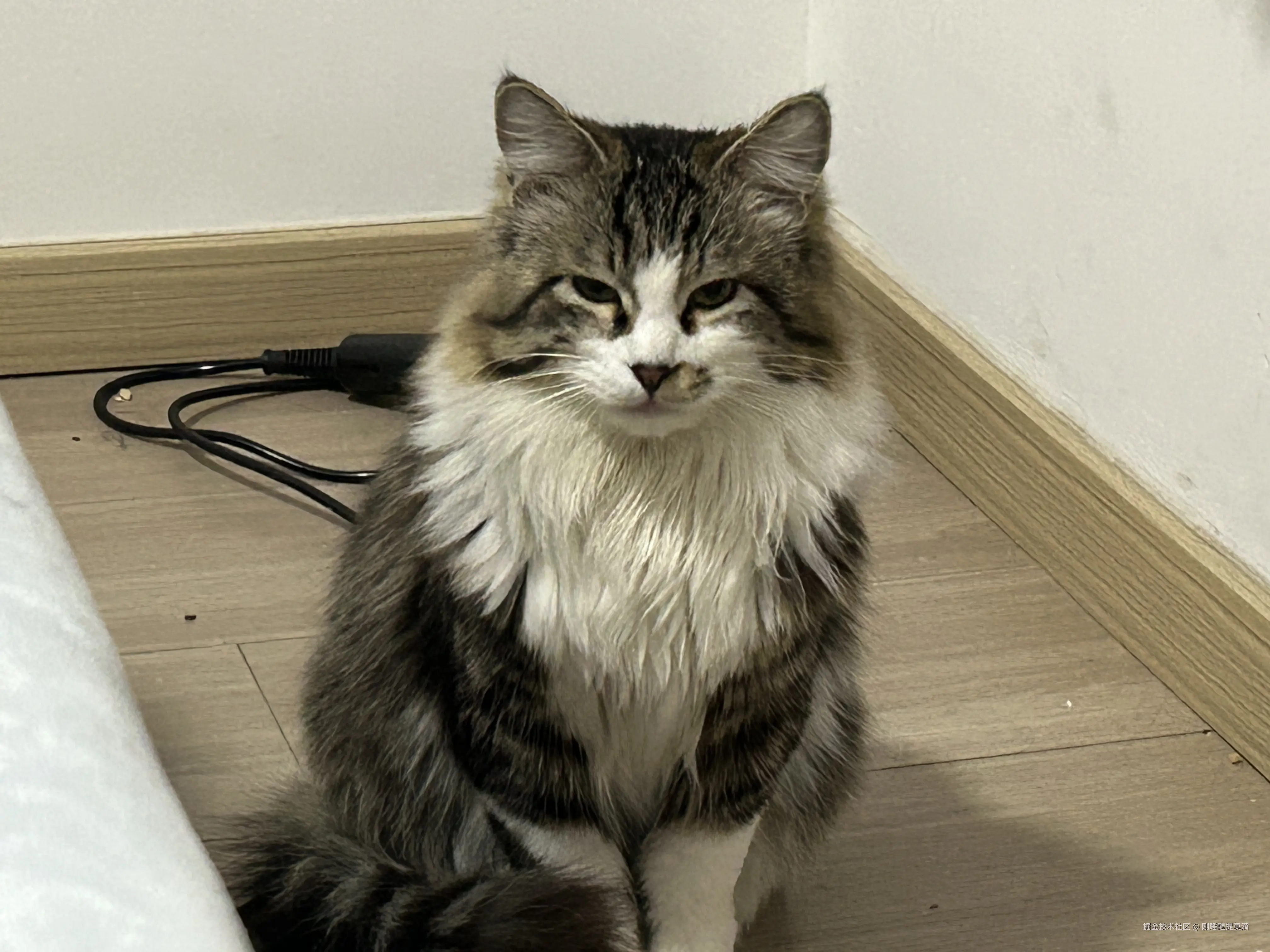 刚睡醒提莫滴于2025-07-09 14:41发布的图片