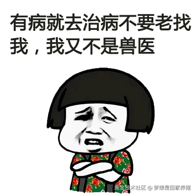 梦想是回家养猪于2025-12-05 08:52发布的图片