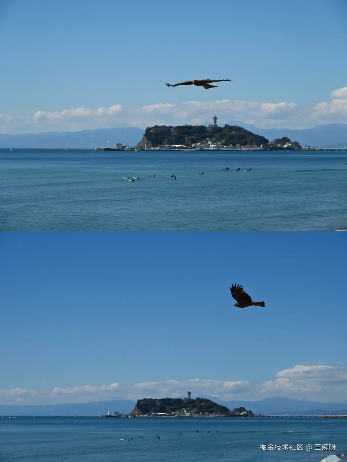 三碗呀于2025-03-31 05:46发布的图片