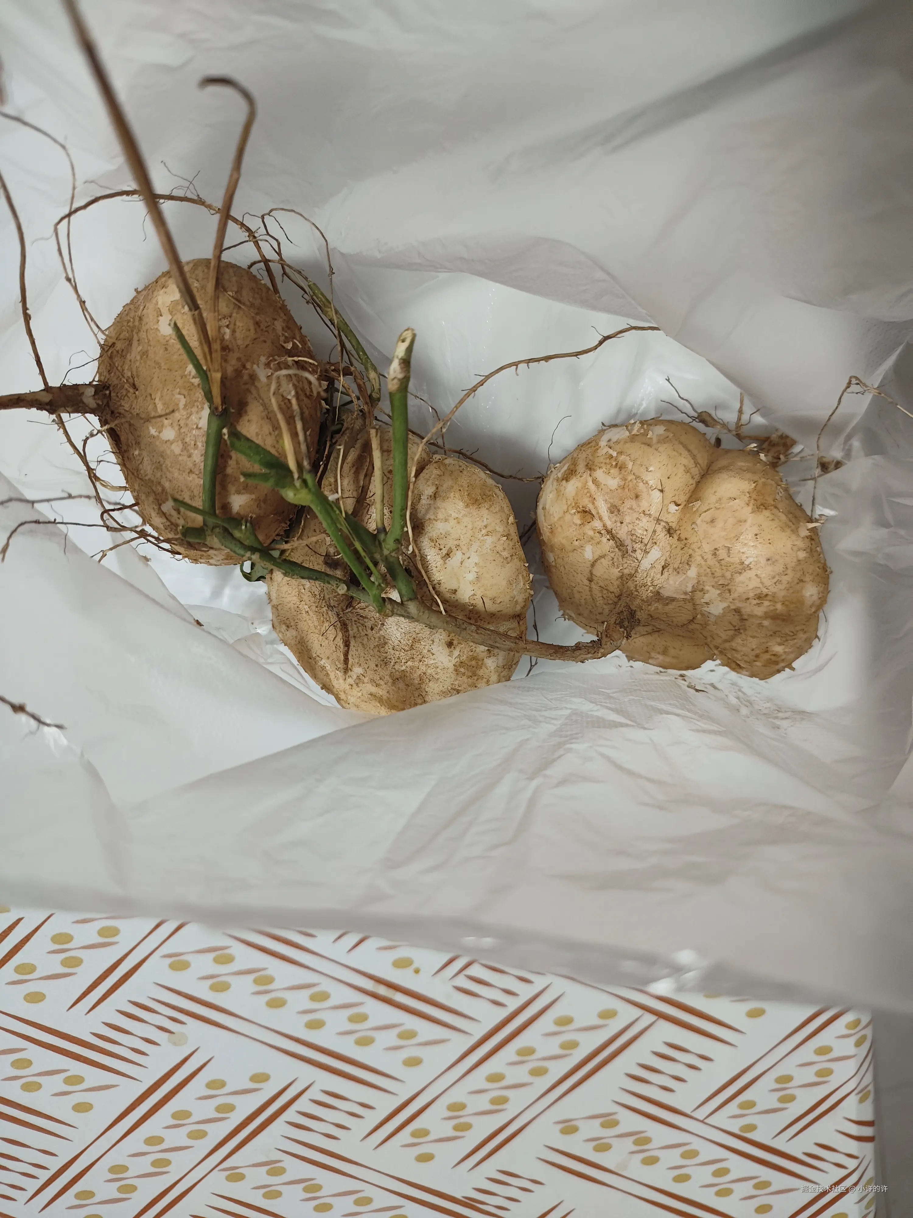 小许的许于2024-12-09 19:03发布的图片