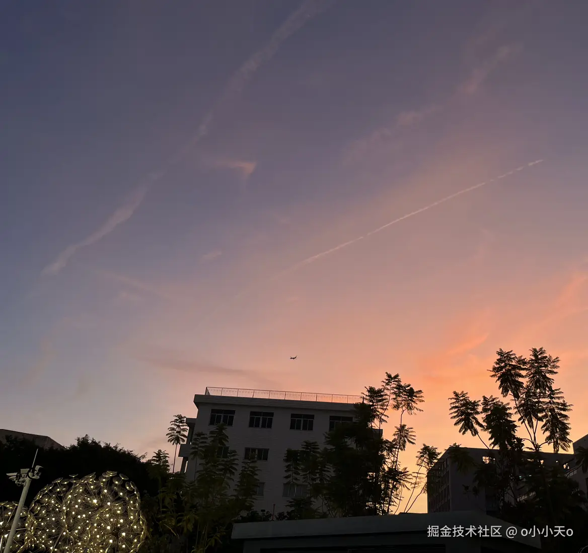 o小小天o于2025-08-08 23:53发布的图片