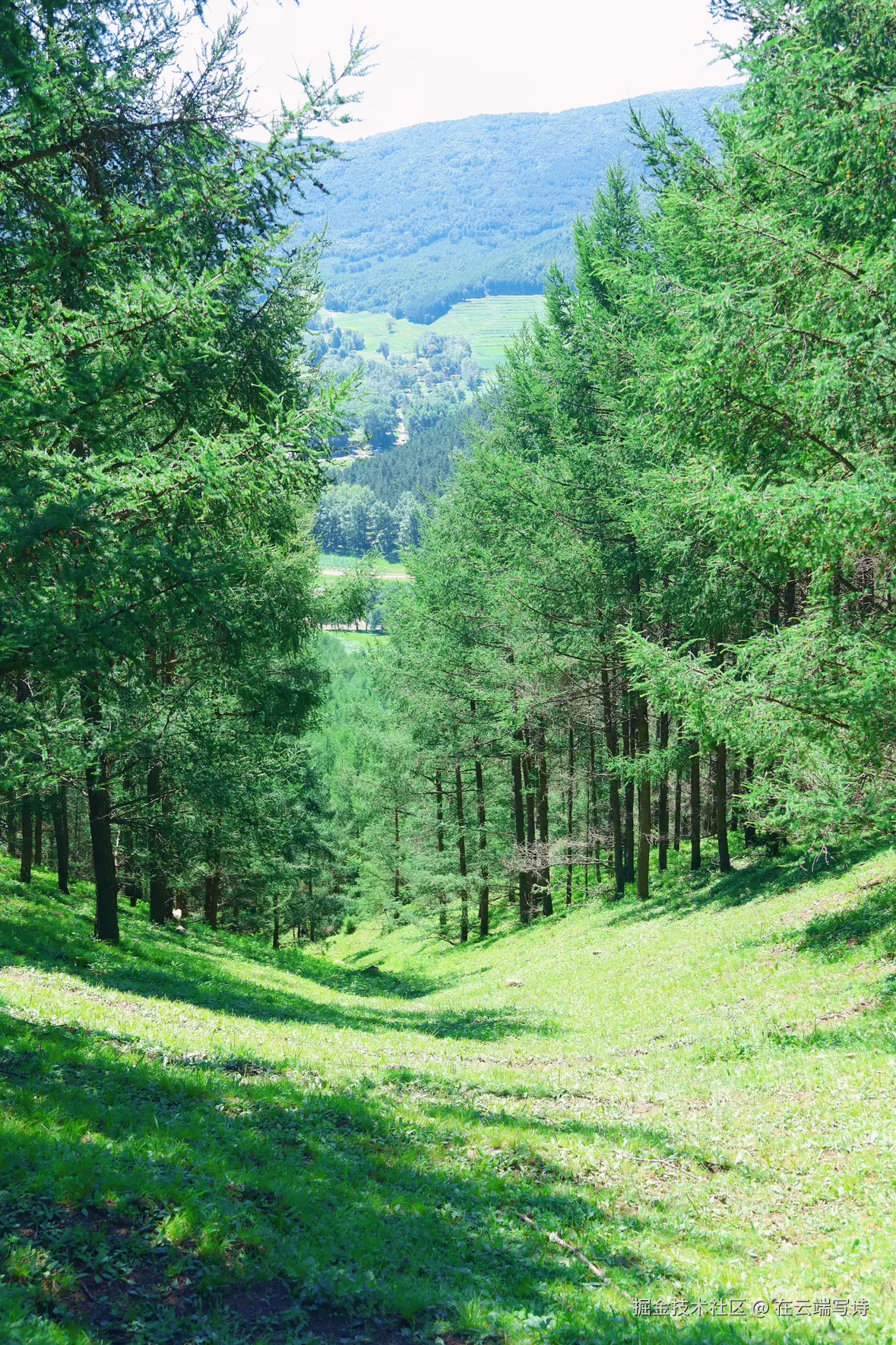 在云端写诗于2025-07-15 10:11发布的图片