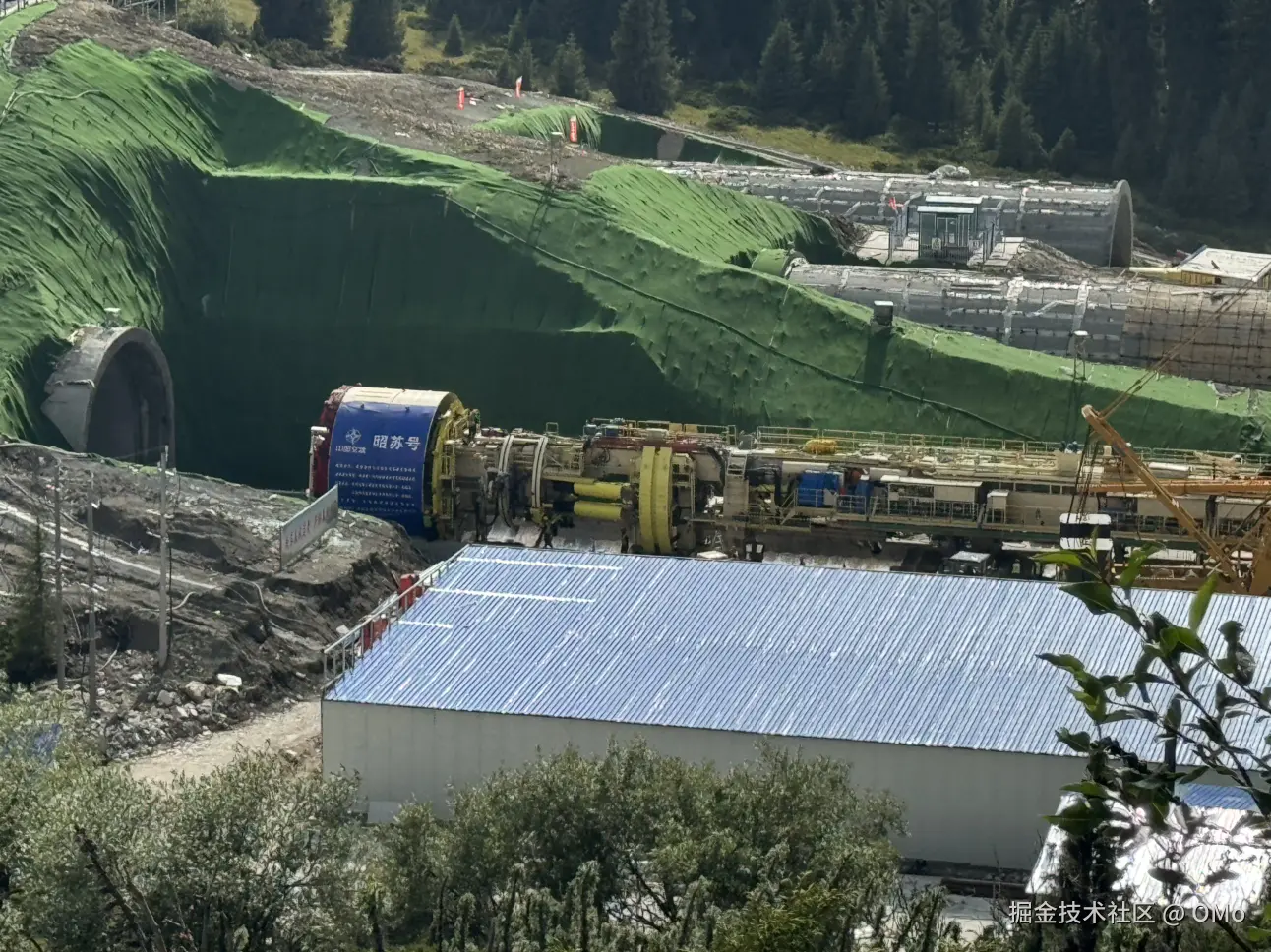 OMo于2026-01-23 01:58发布的图片