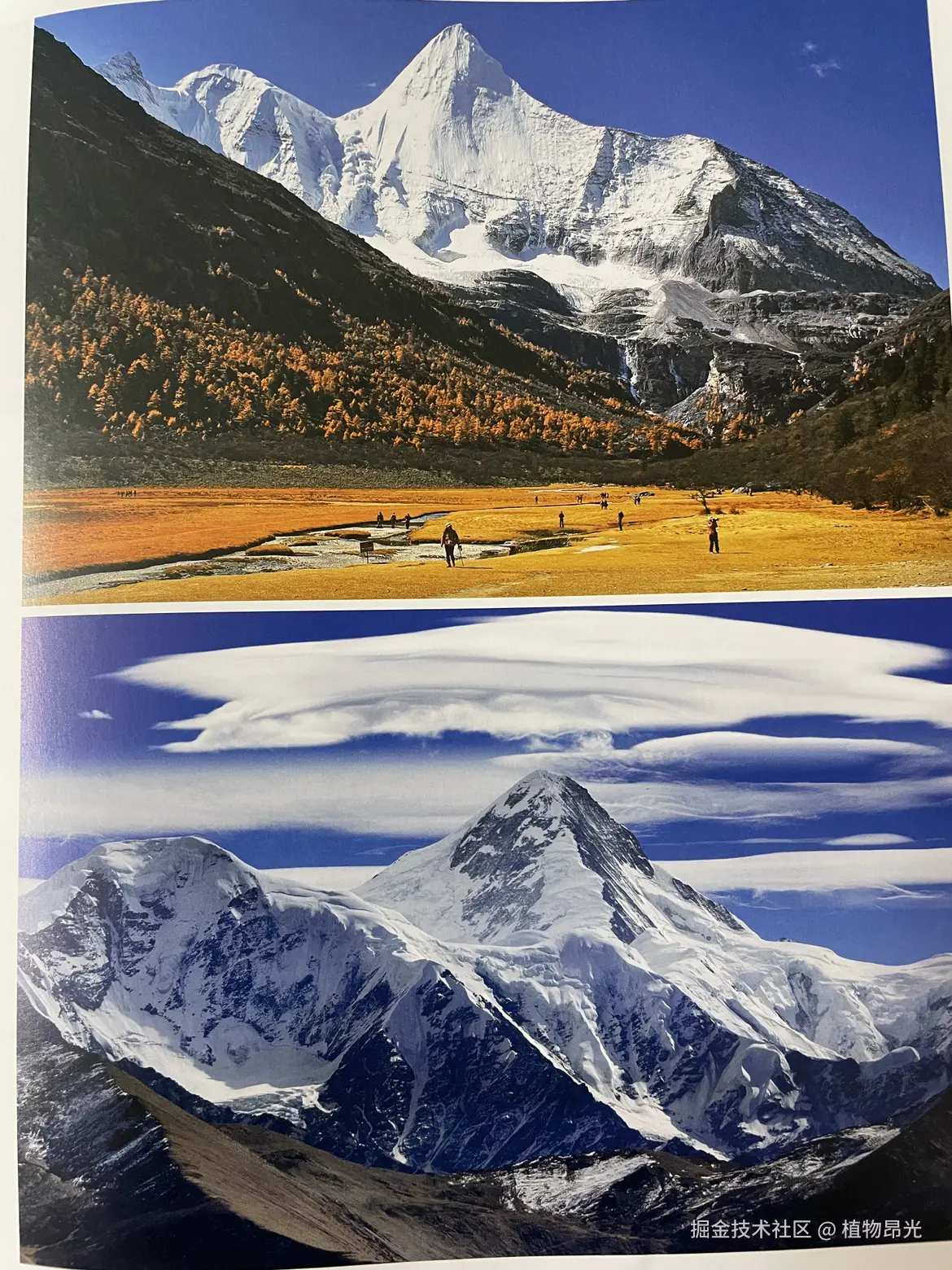 植物昂光于2026-03-13 21:49发布的图片